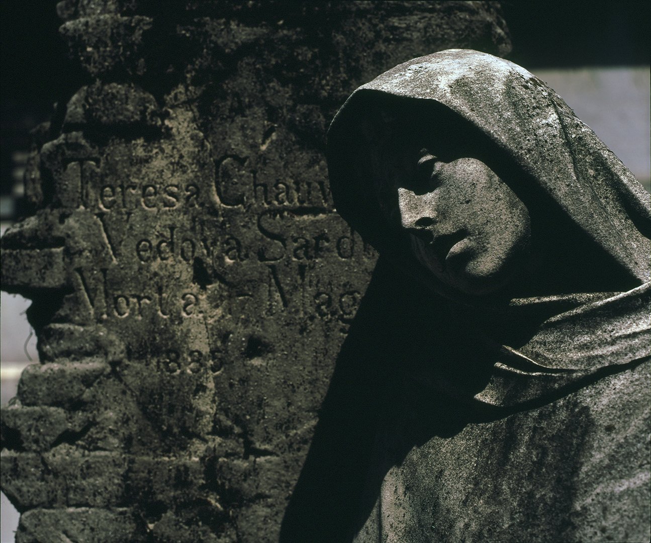 Cimitero Monumentale - 2009