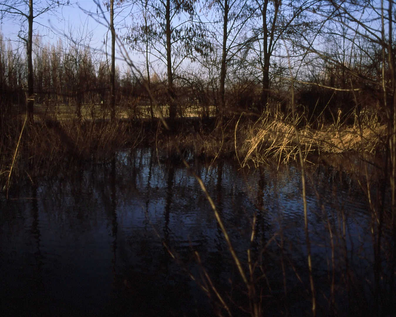 Parco Nord - 2008