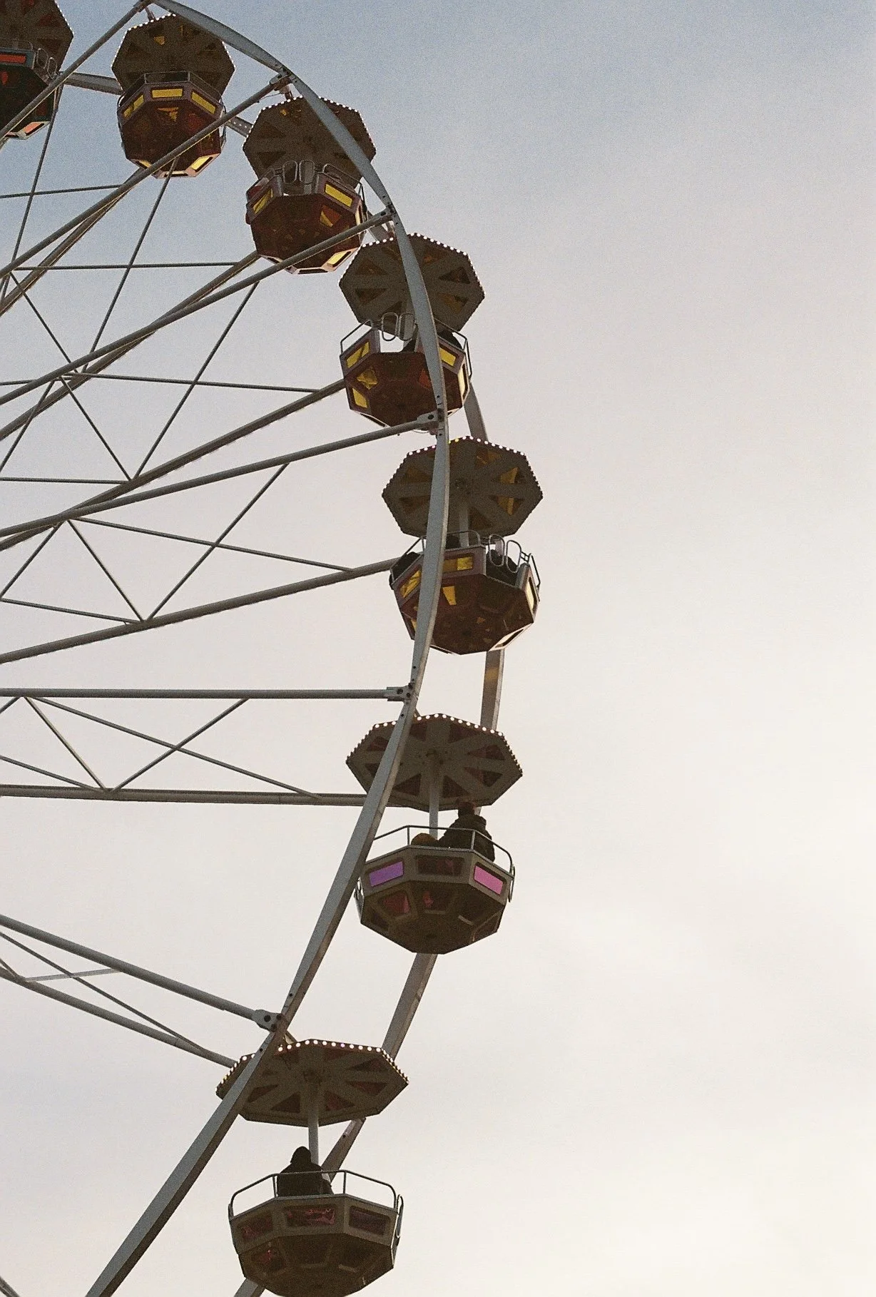 IMG_3125.jpeg