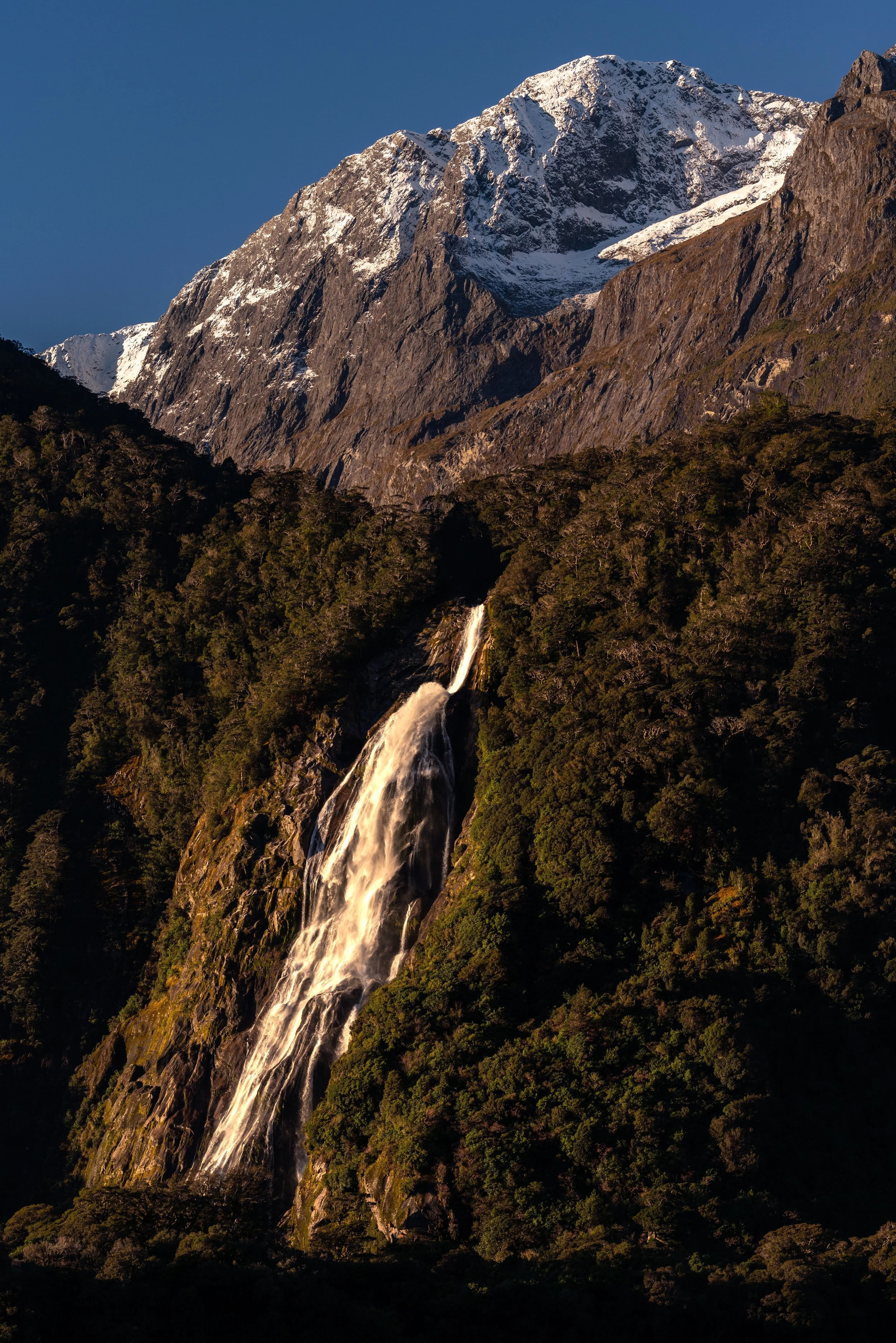Bowen Falls, Milford Sound
