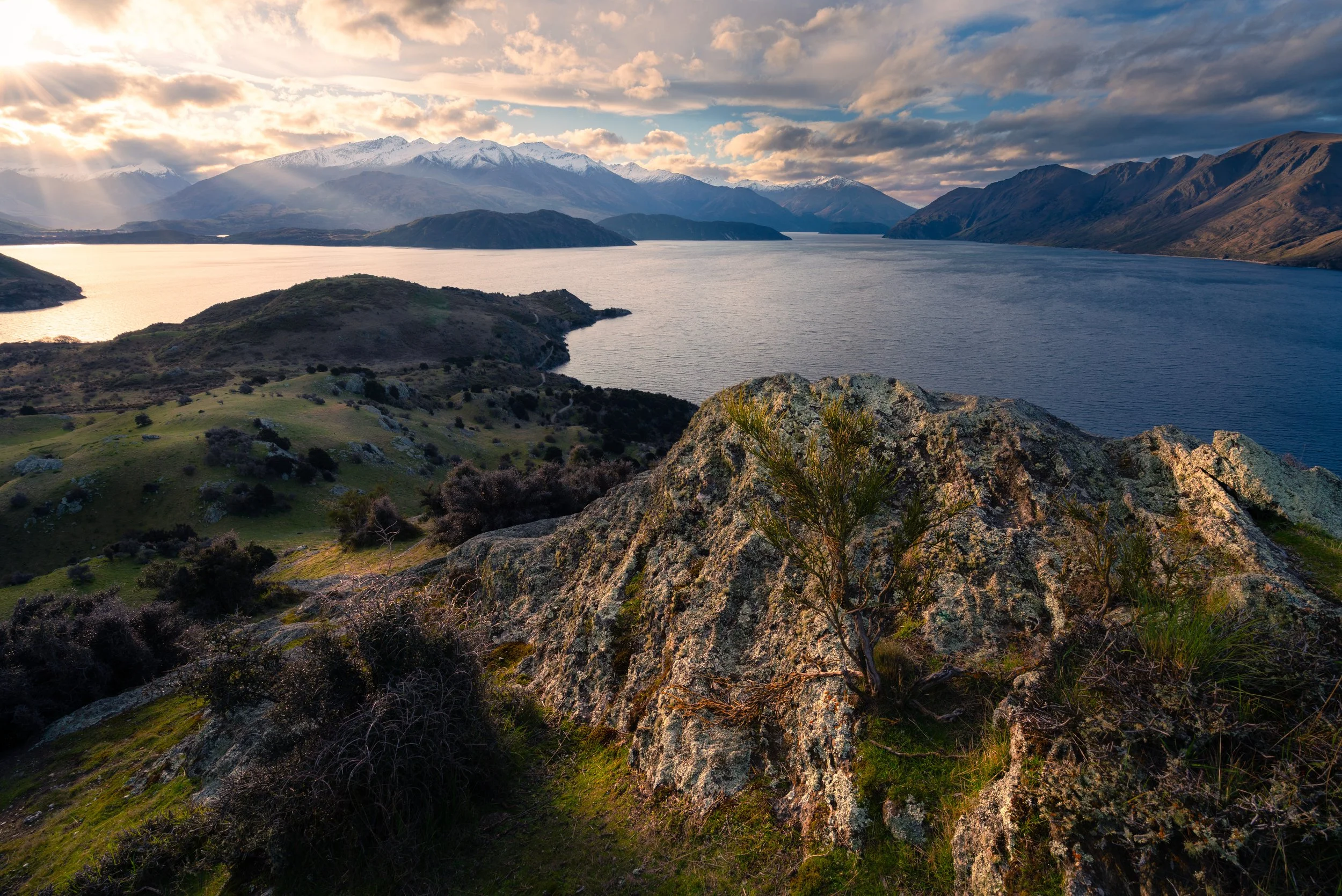 Waterfall Creek track to Glendhu Bay