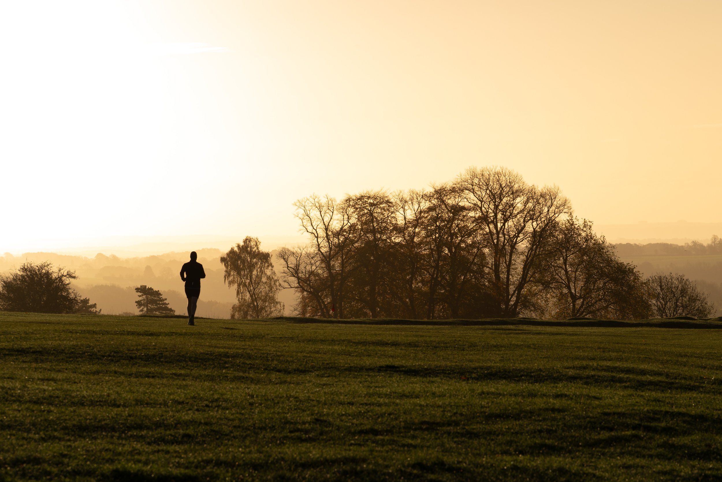 Minchinhampton Common, Stroud, UK