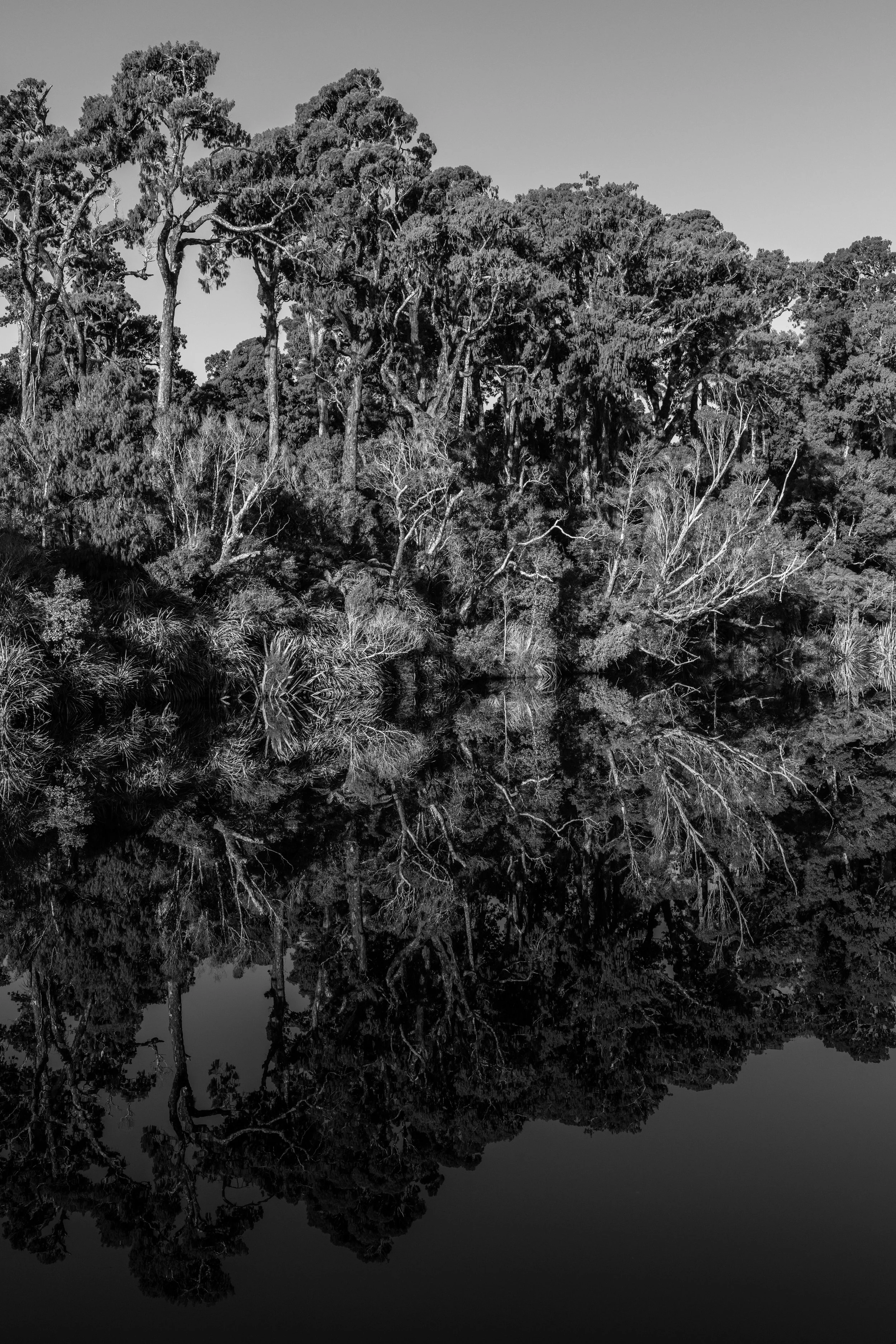 Ship Creek, West Coast