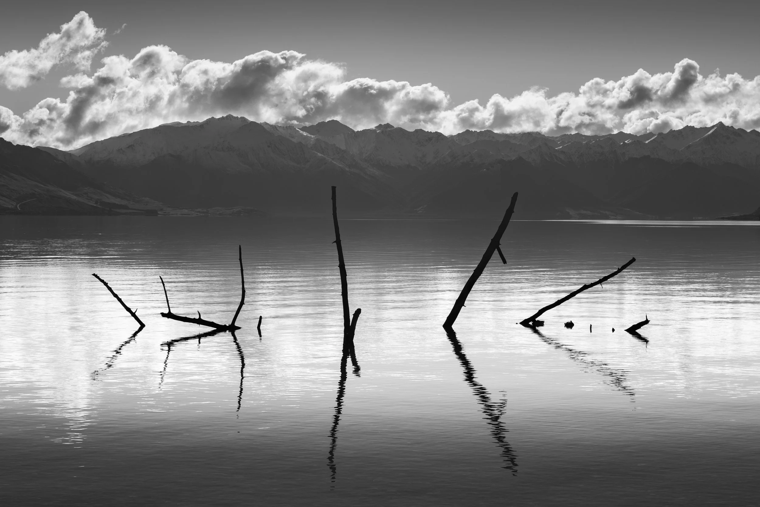 "Submerged in Lake Hāwea"