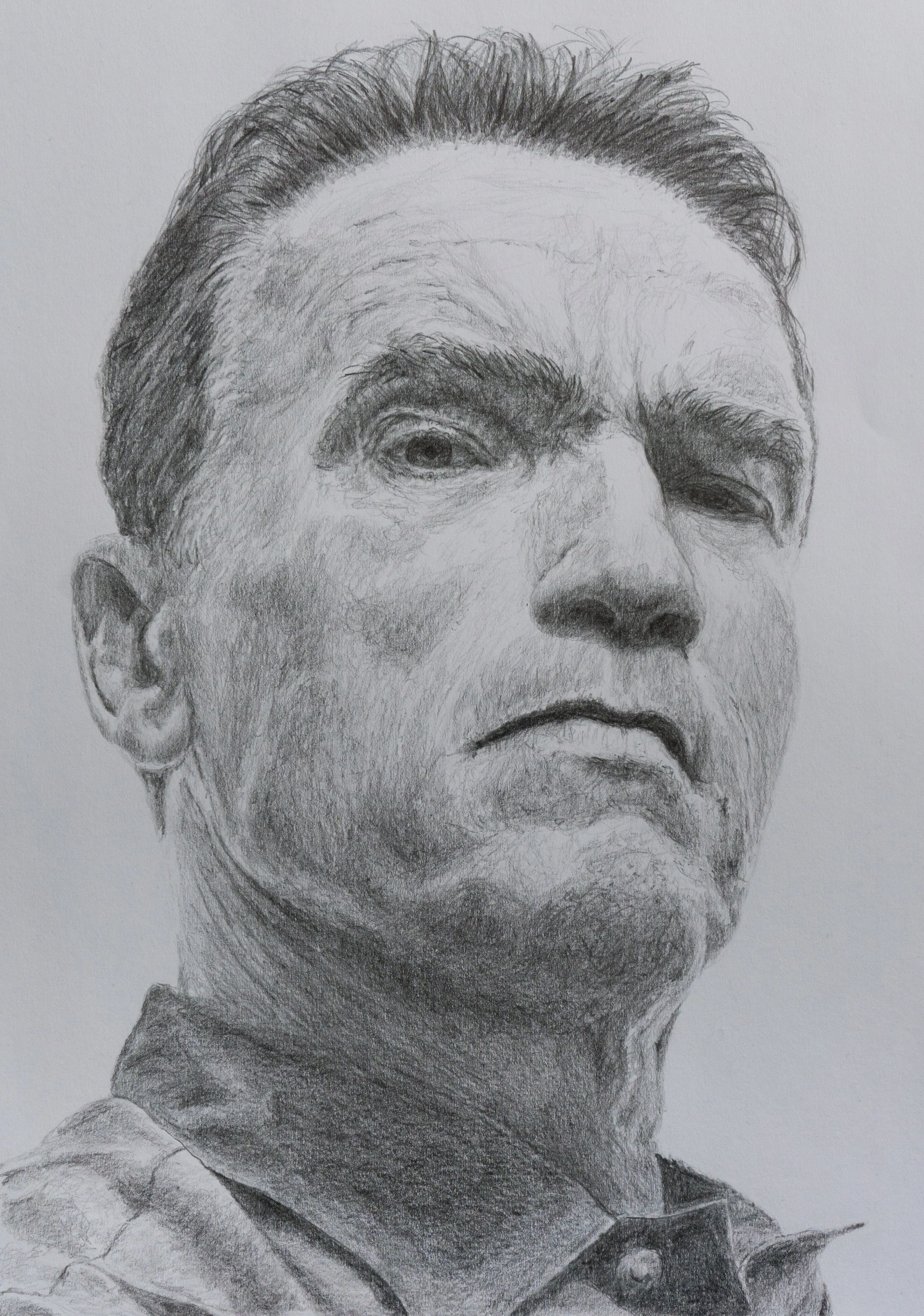 Arnold Schwarzenegger

Reference photo credit: Richard Avedon