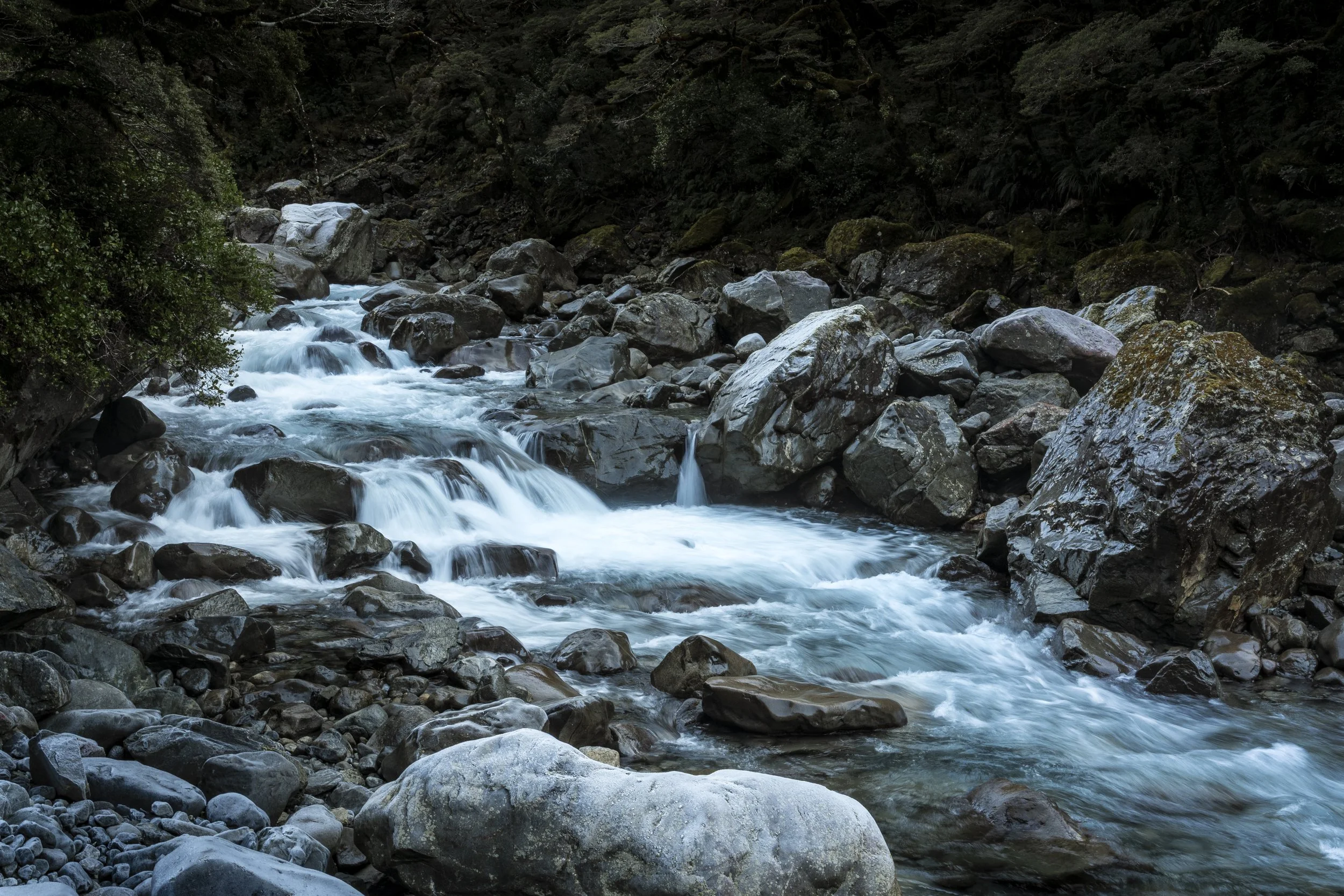 Hollyford River