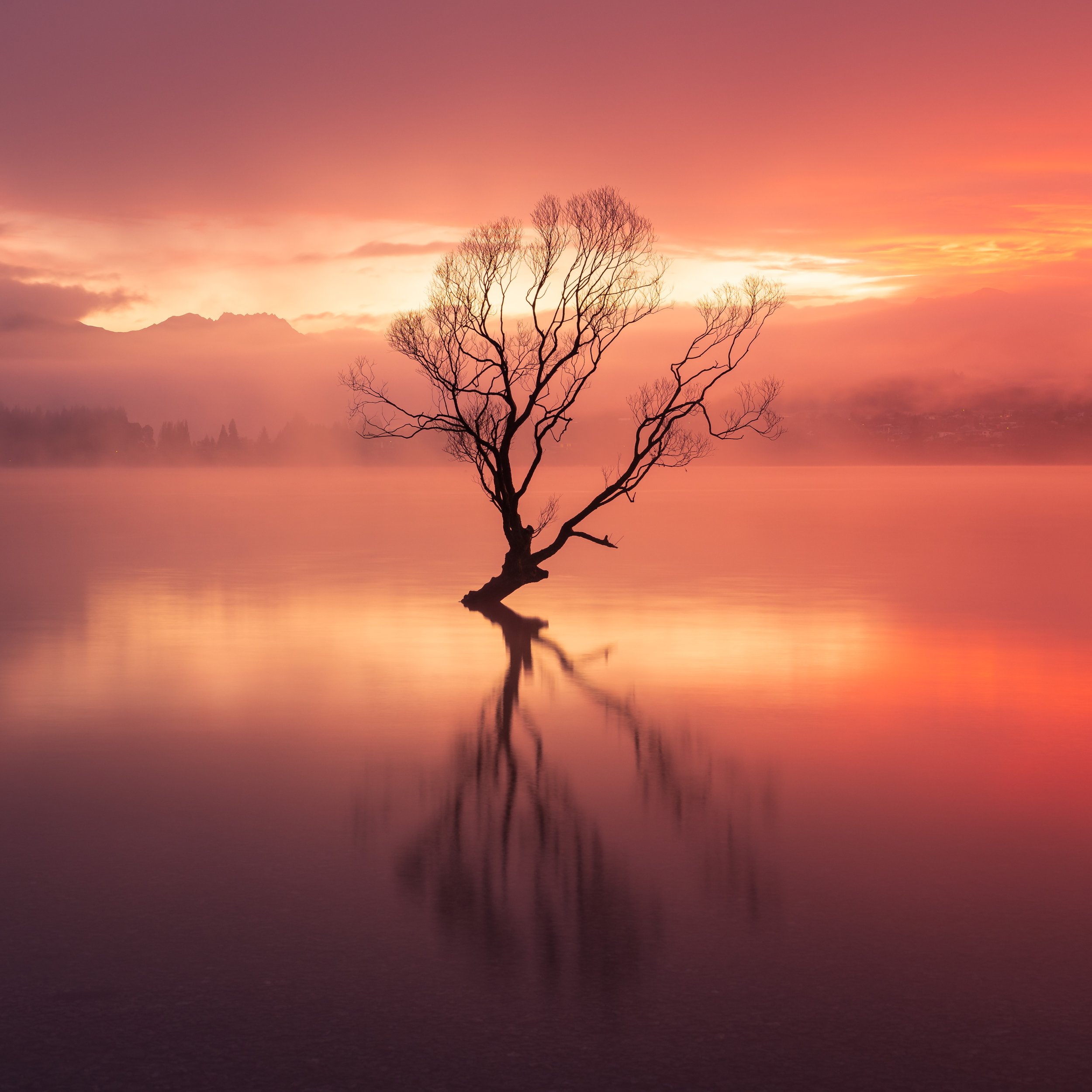 "Glowing Fog"