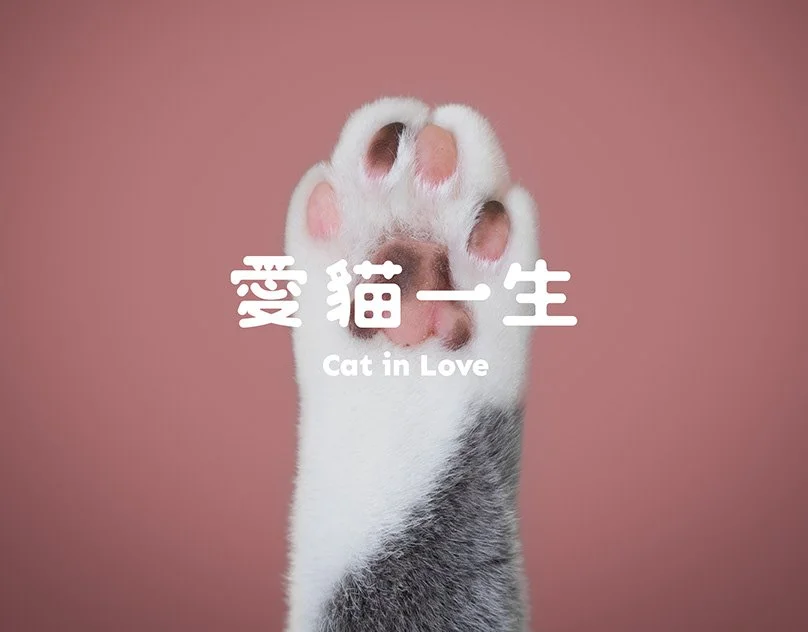 愛貓一生 Cat in Love