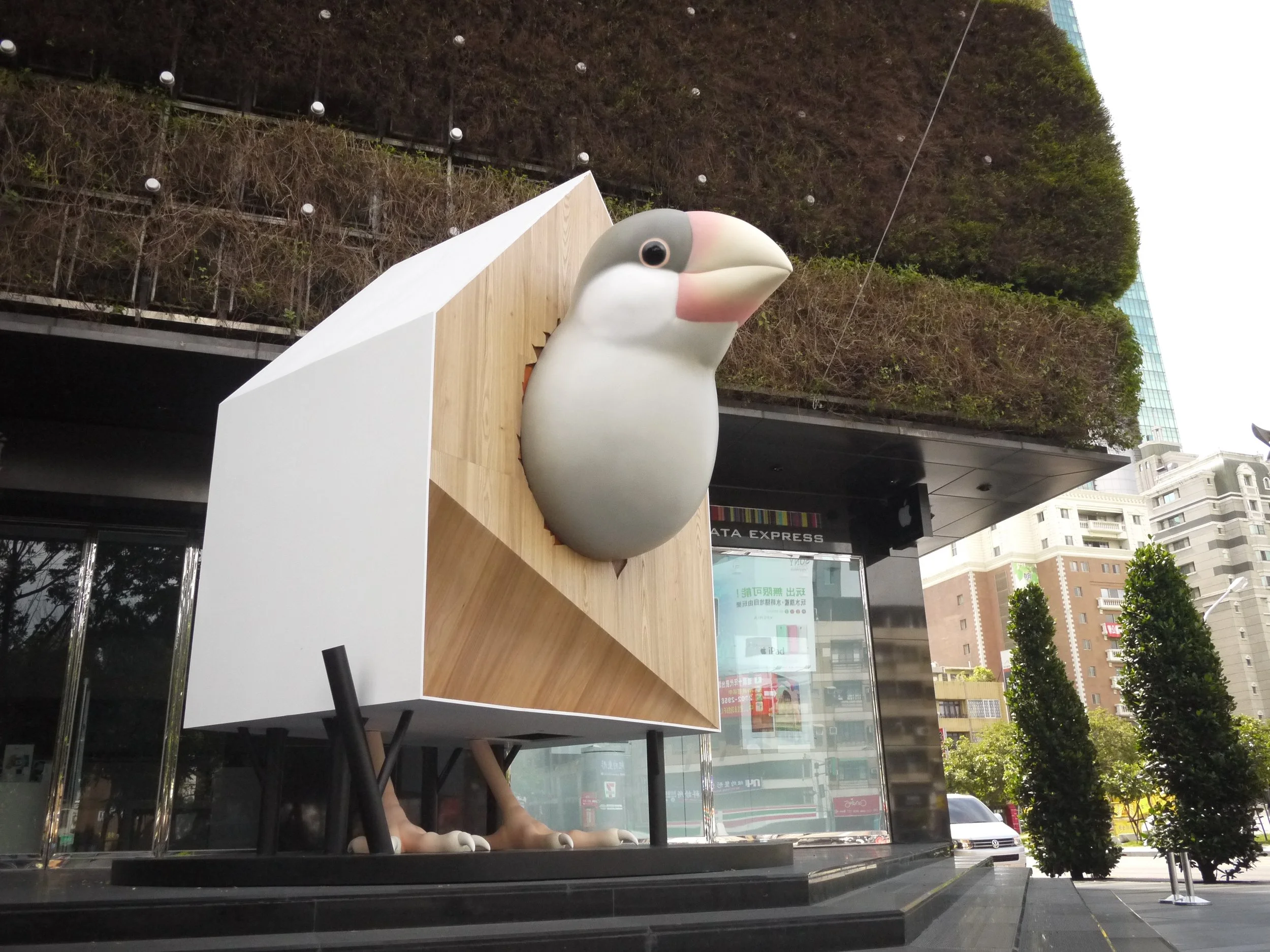 小鳥吃到飽