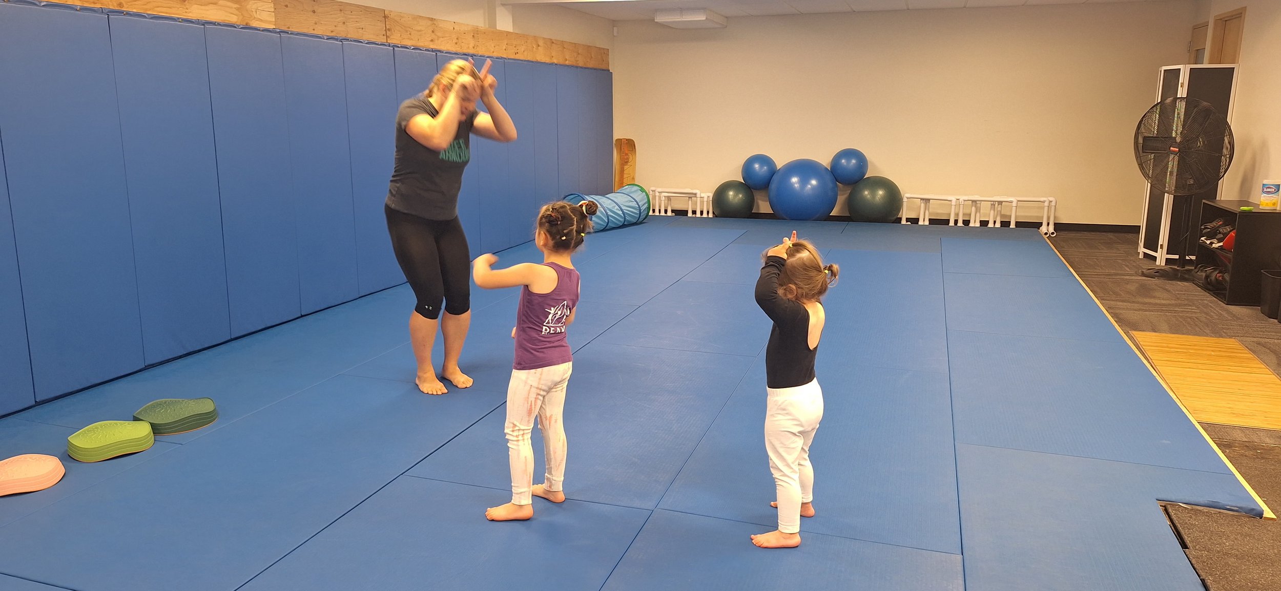 Instructor and two young children in a martial arts class, standing on blue mats in a gym, with a wall of blue padding, exercise balls, and equipment visible in the background.