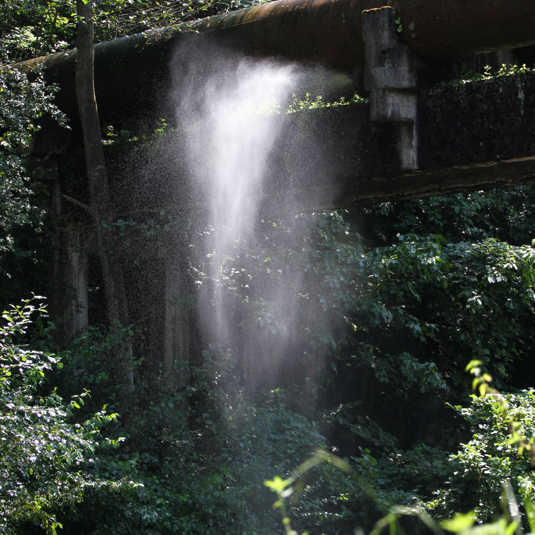 The Hidden Price Tag of Bottling Up Emotions in Leadership