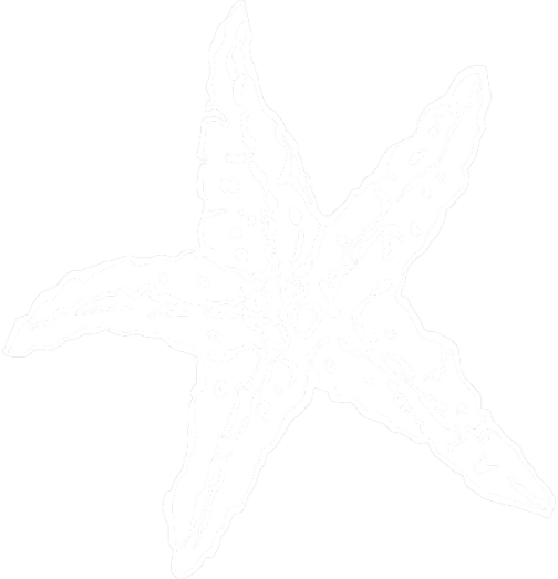 through the waves icon