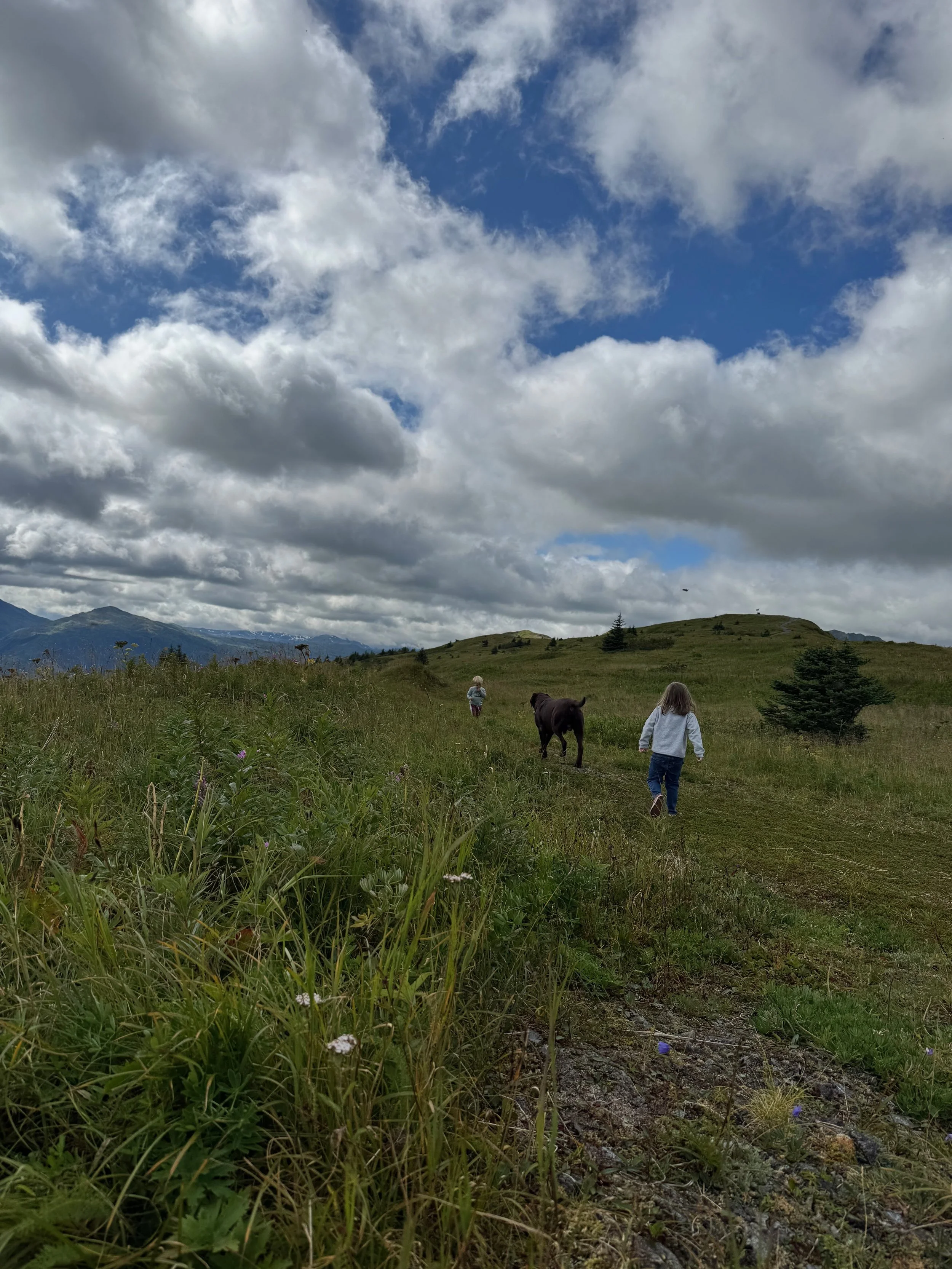 2 kids and a dog in the distance on a mountain top