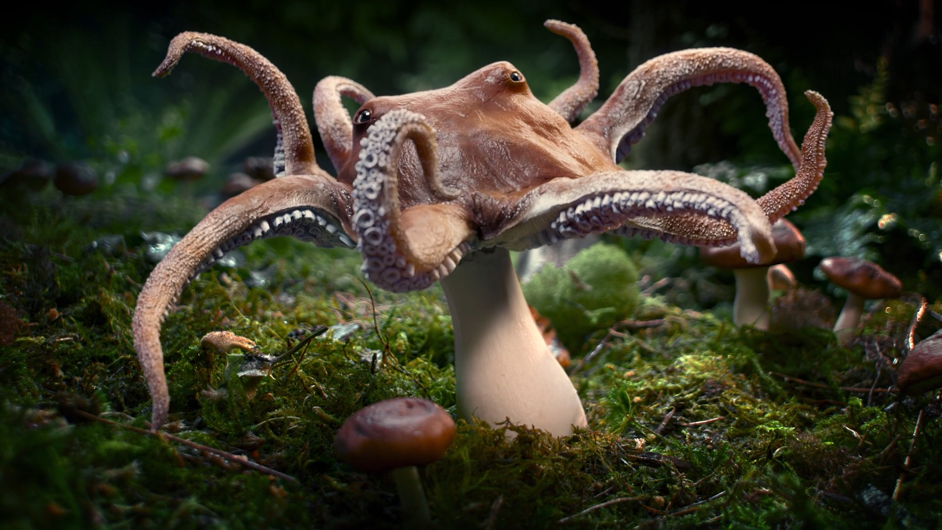 DOLBY VISION <span> LG RETAIL SERIES <span>