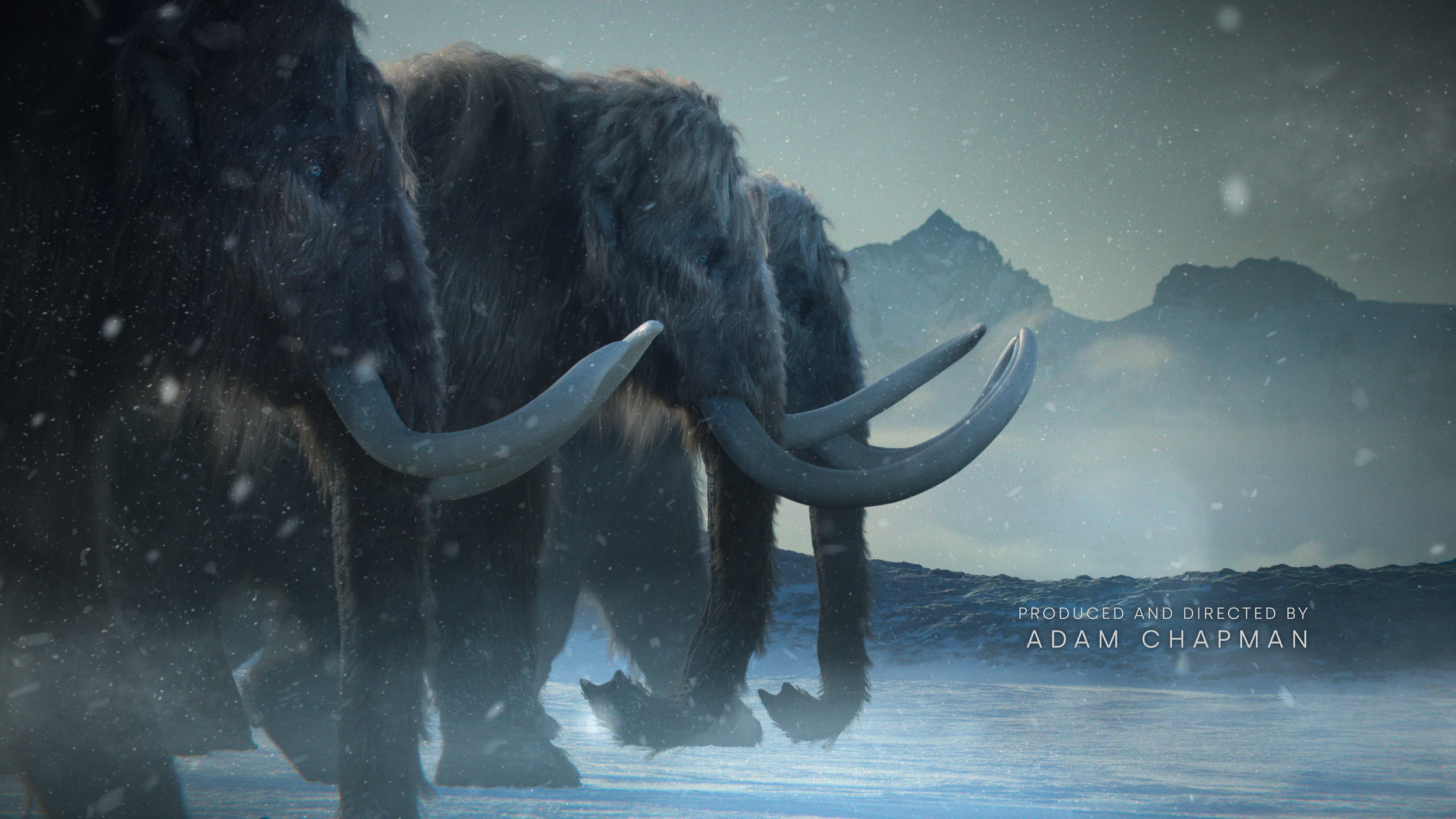 LIFE ON OUR PLANET <span> NETFLIX - MAIN TITLE <span>