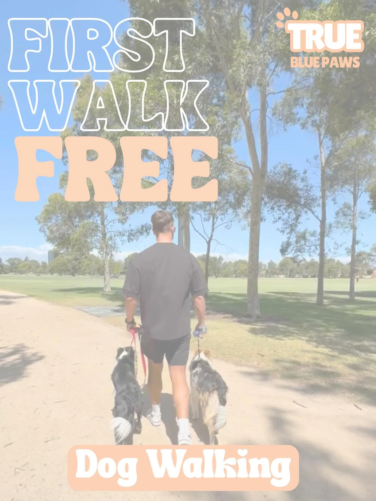 🎉 FIRST WALK FREE! 🎉
 Yep, you read that right, your pup&rsquo;s first walk with us is 100% FREE for this month only!🐾

We&rsquo;re True Blue Paws, your local dog walkers based in Caulfield and surrounding suburbs 💙
 Lots of love, plenty of play,