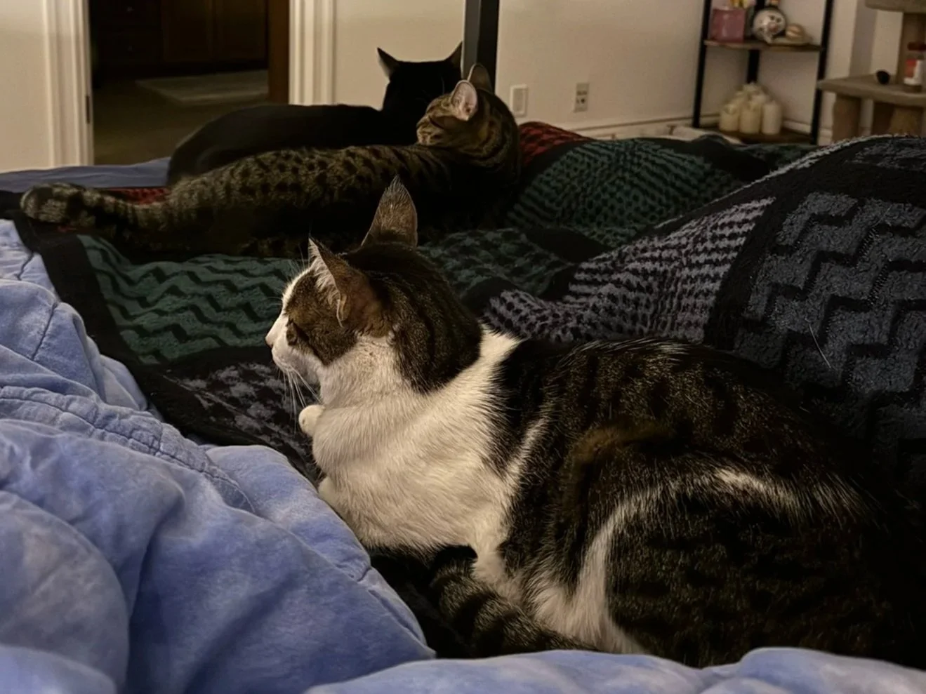 You feeling alright?