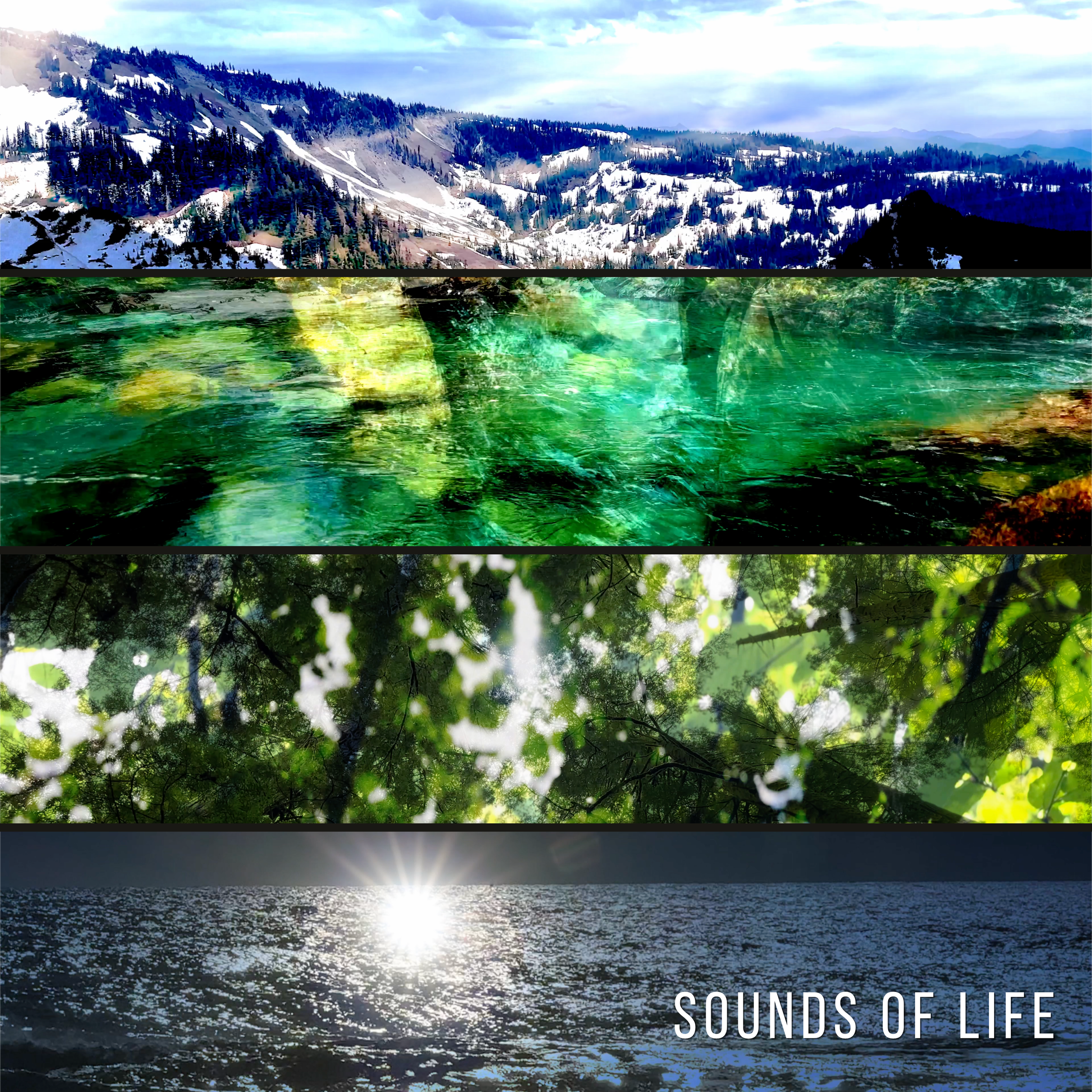A tranquil lakeside scene with the sun setting over the water, surrounded by lush green trees. The text on the image reads "Sound of Life."