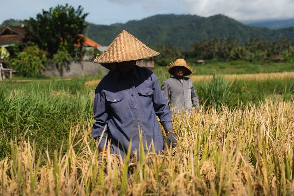 Bali: an island where every corner has a frame waiting to be captured. 
I flew to Bali at the beginning of December to chase new landscapes and connect with an amazing creator community. The initial plan was to stay for a week, but it&rsquo;s been tw