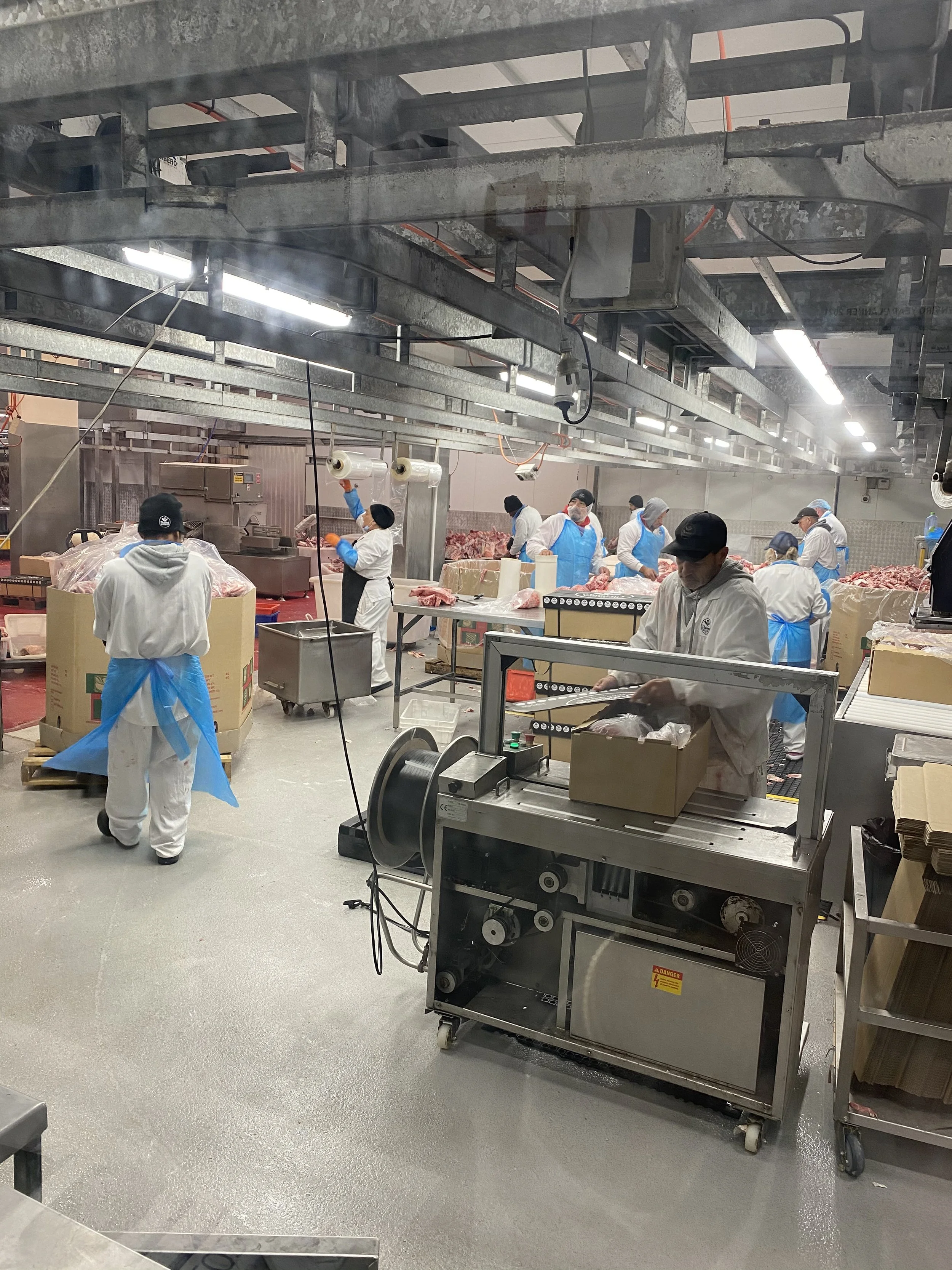 Workers processing and packaging raw meat in an industrial meat processing facility.