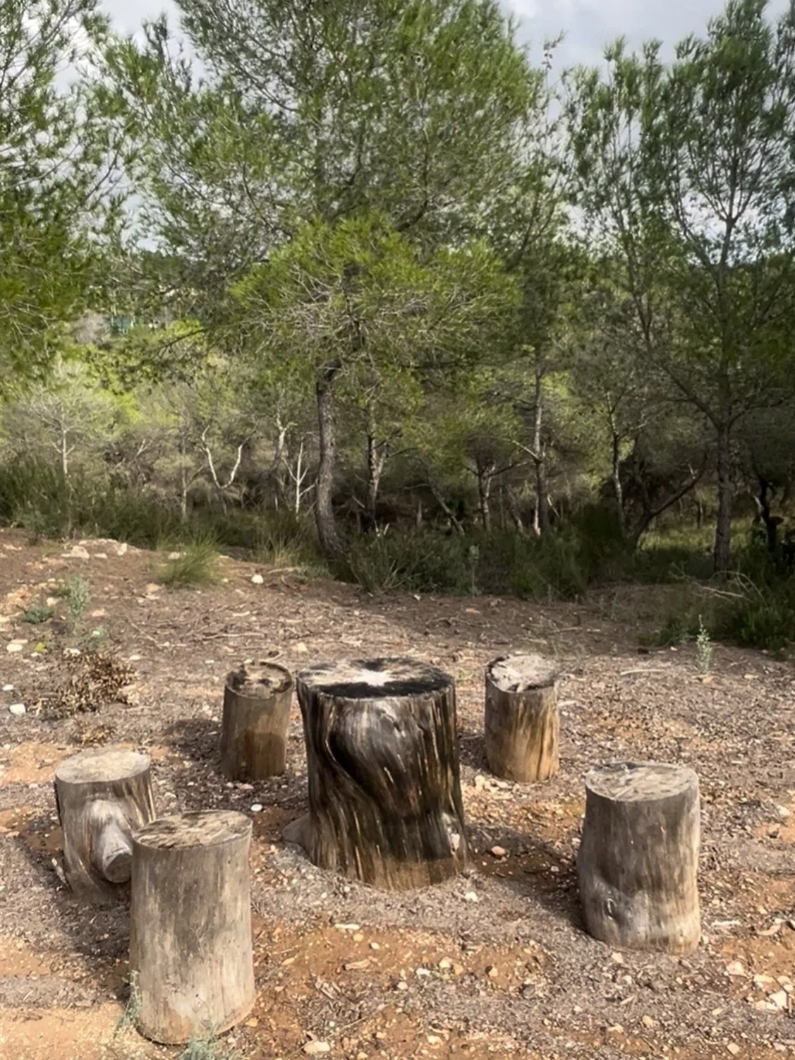 You might not be looking for a sisterhood.

Lately I&rsquo;ve been noticing how much of social media is about community and belonging, and how fast it all feels.

Everywhere you look, there&rsquo;s a new invitation promising connection or healing or 