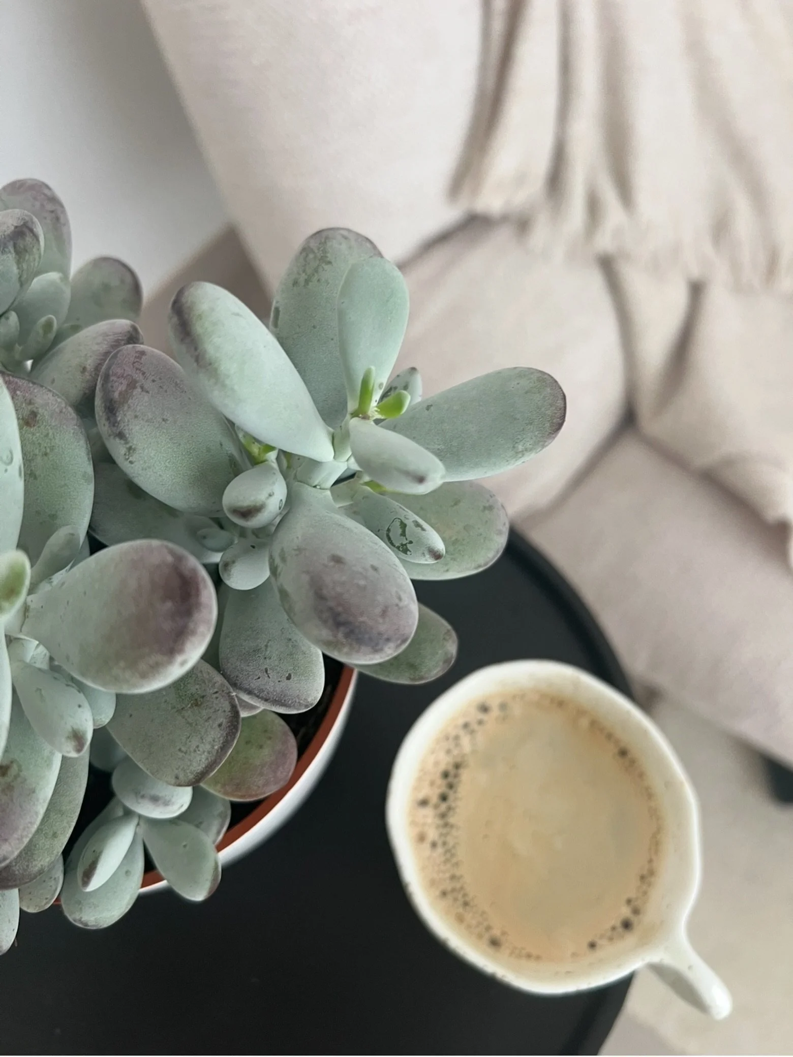 May is rarely just one emotion.

This time of year carries a strange mixture of things. The light lasts longer in the evenings, people start talking about summer. And graduations start, there&rsquo;s Mother&rsquo;s Day, and summer plans beginning to 