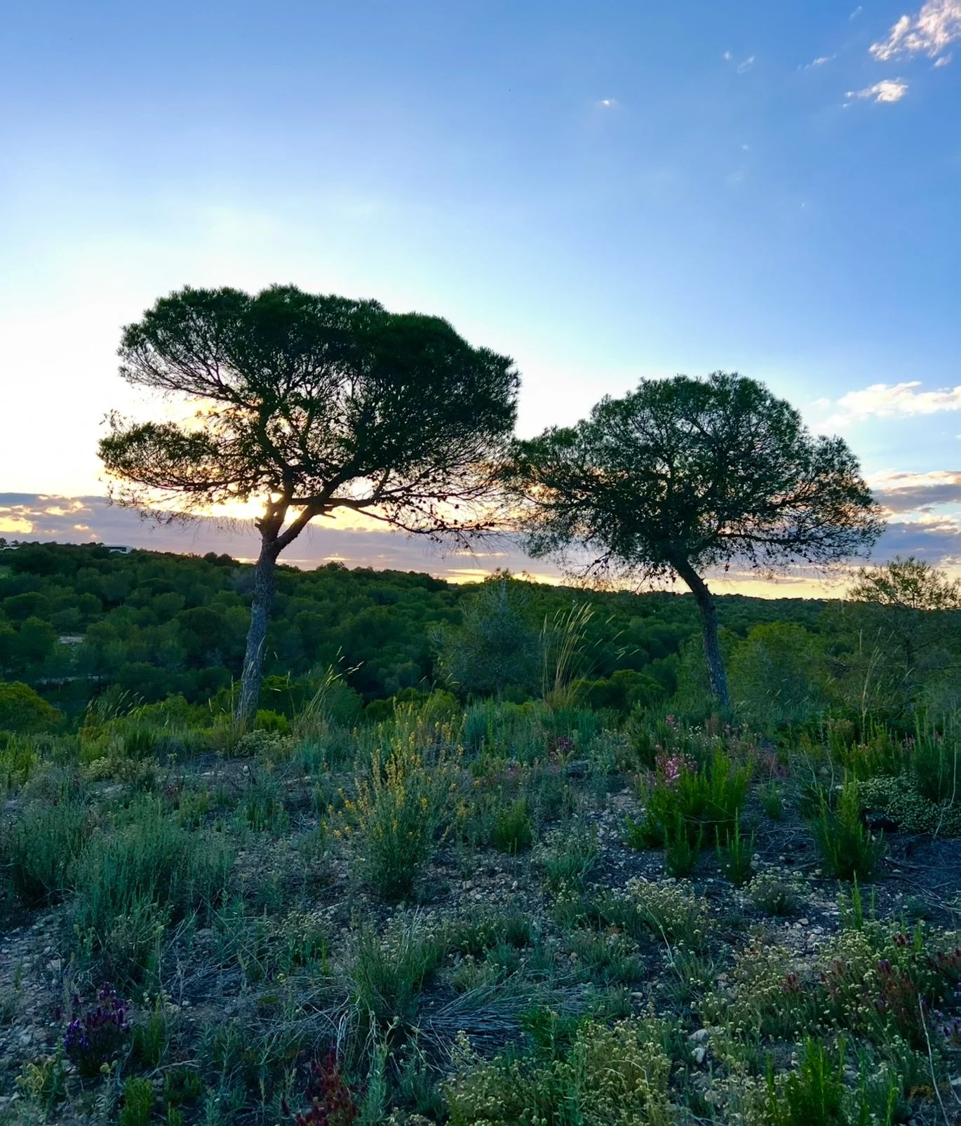 Just because it&rsquo;s a new month it doesn&rsquo;t mean you have to feel new. Maybe you don&rsquo;t need a whole summer plan yet. Maybe you just need water and one quiet evening.

.
#soulcare #fridayblessings #midlifemom