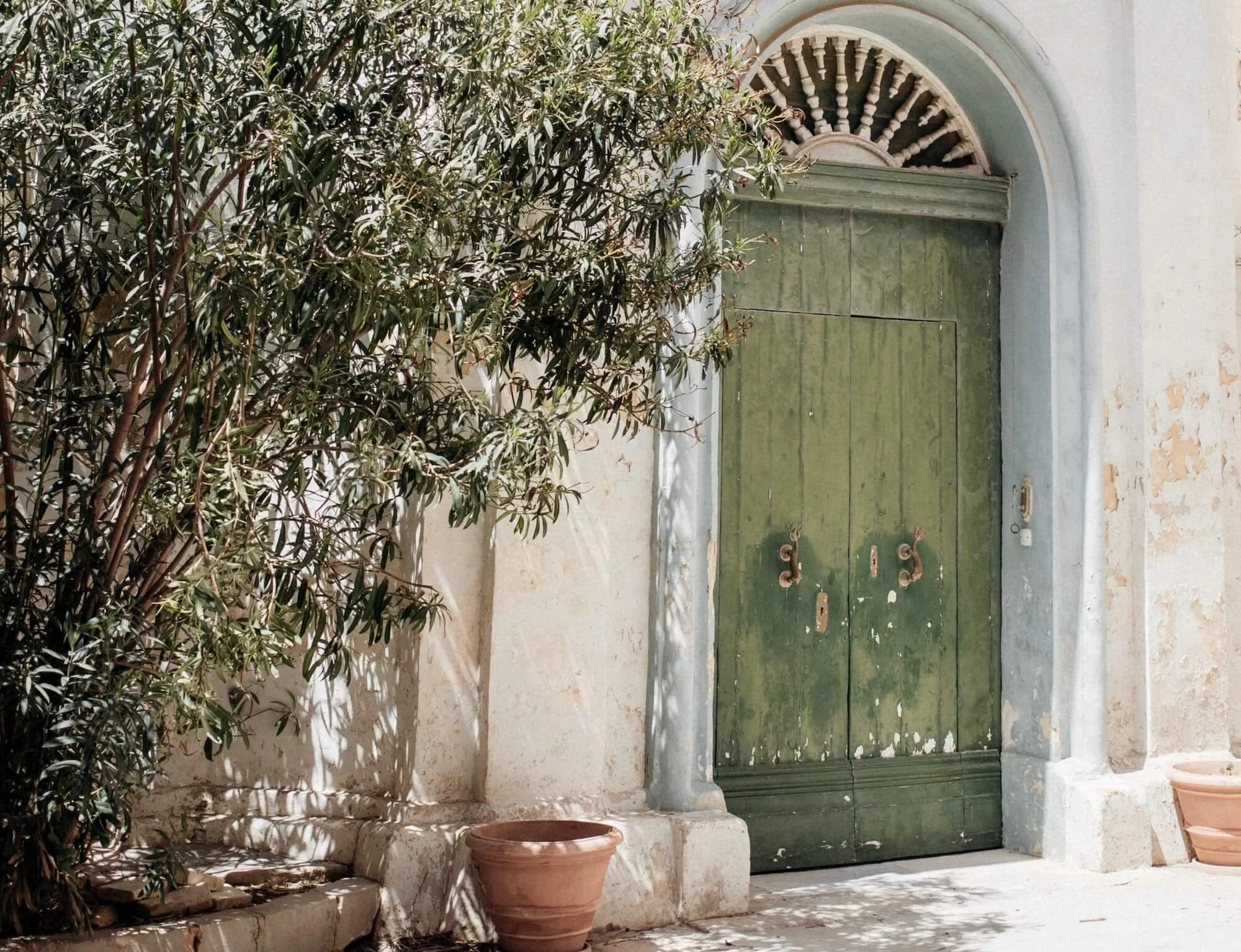 Green wooden door with a decorative arched top, flanked by stone columns, with potted plants and a leafy tree casting shadows on a white wall.