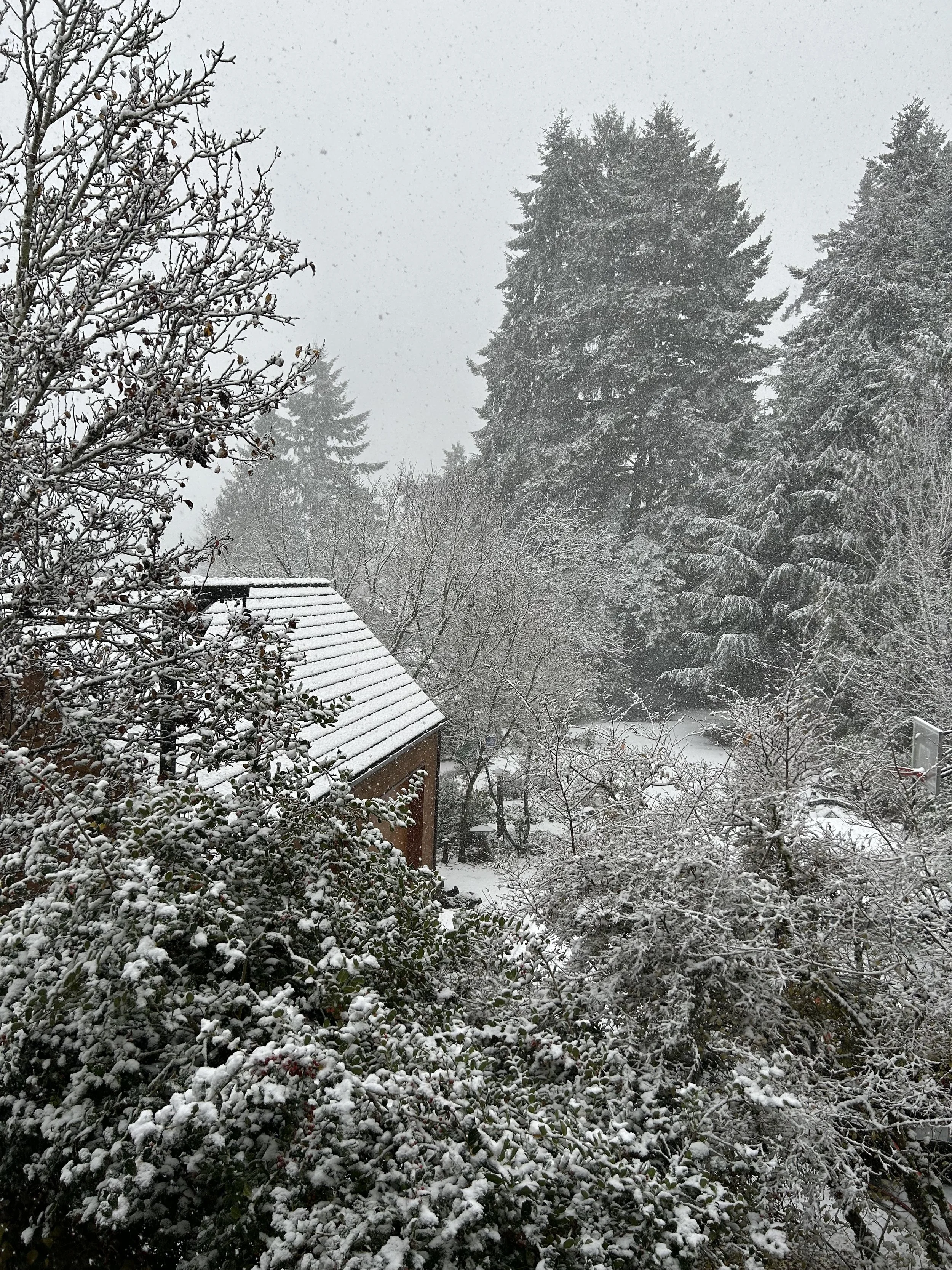 the art of the winter arc