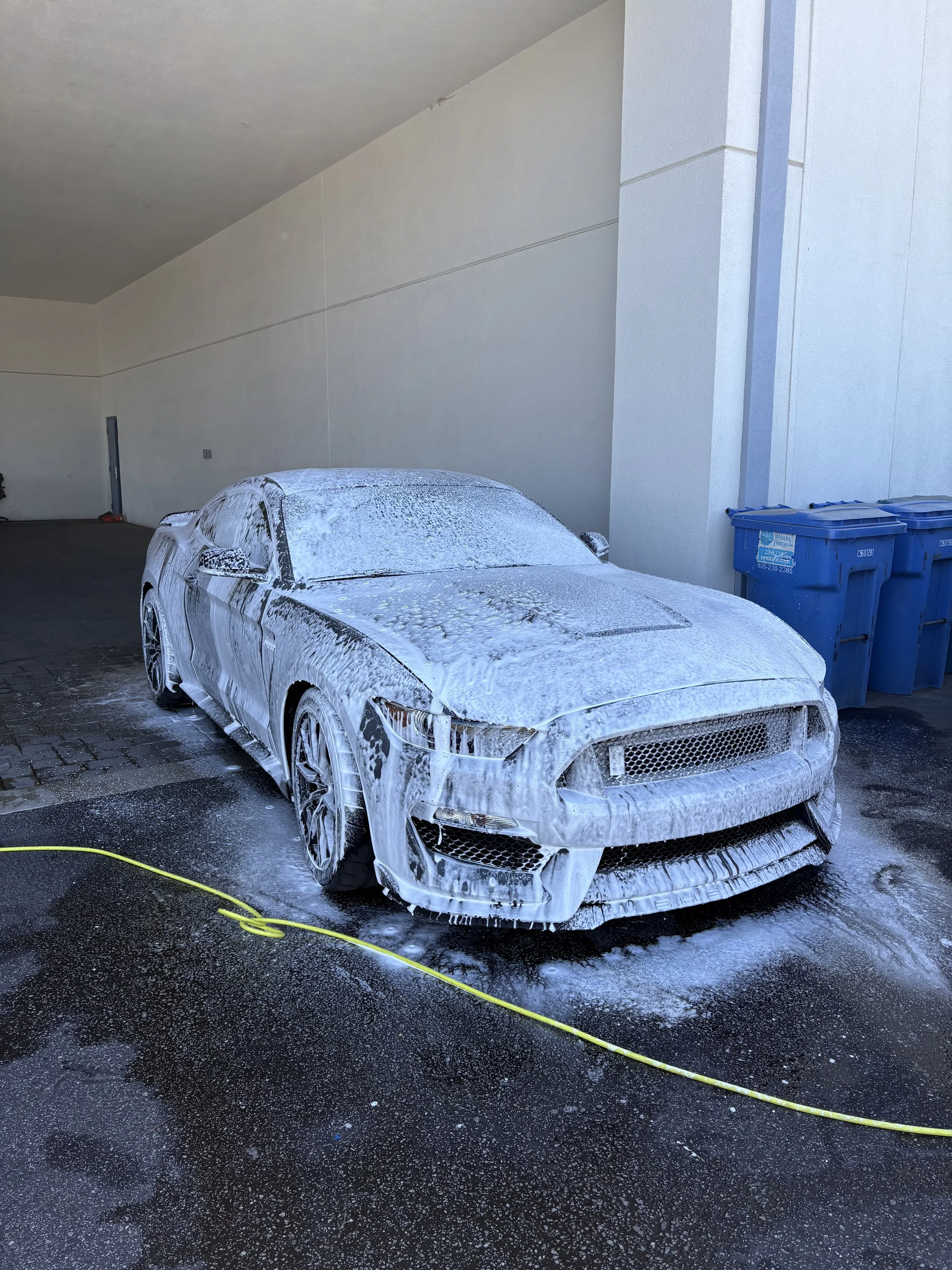 Foamed Up Mustang.jpg