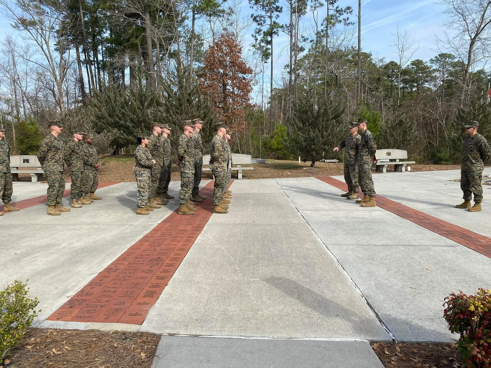 Group Sessions & Consulting