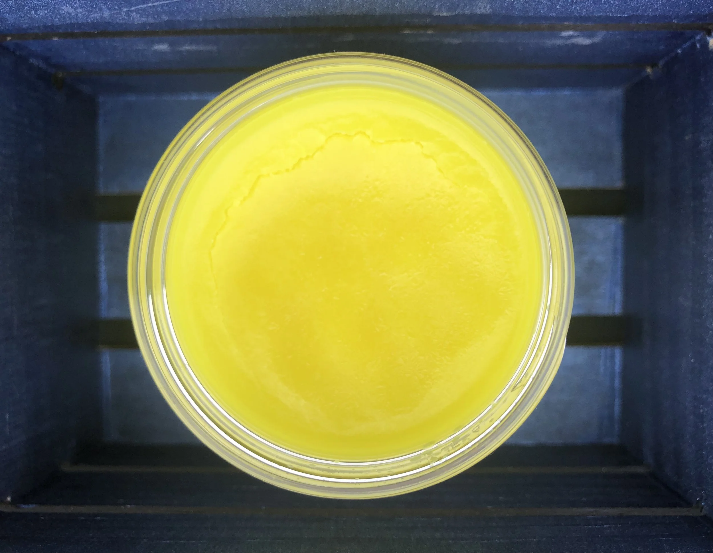 YellowBalm.jpg