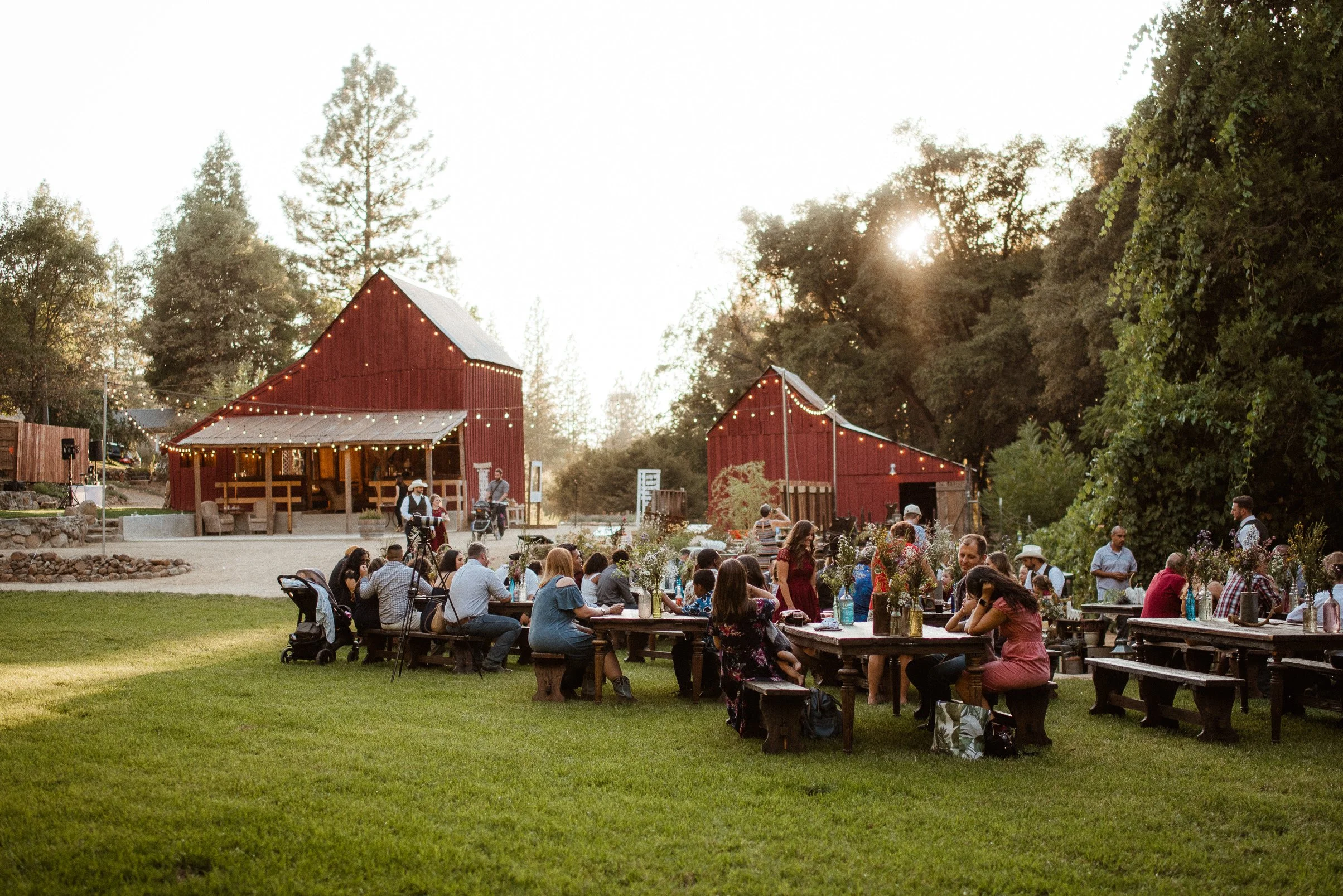 Copy of dinner-46.jpg