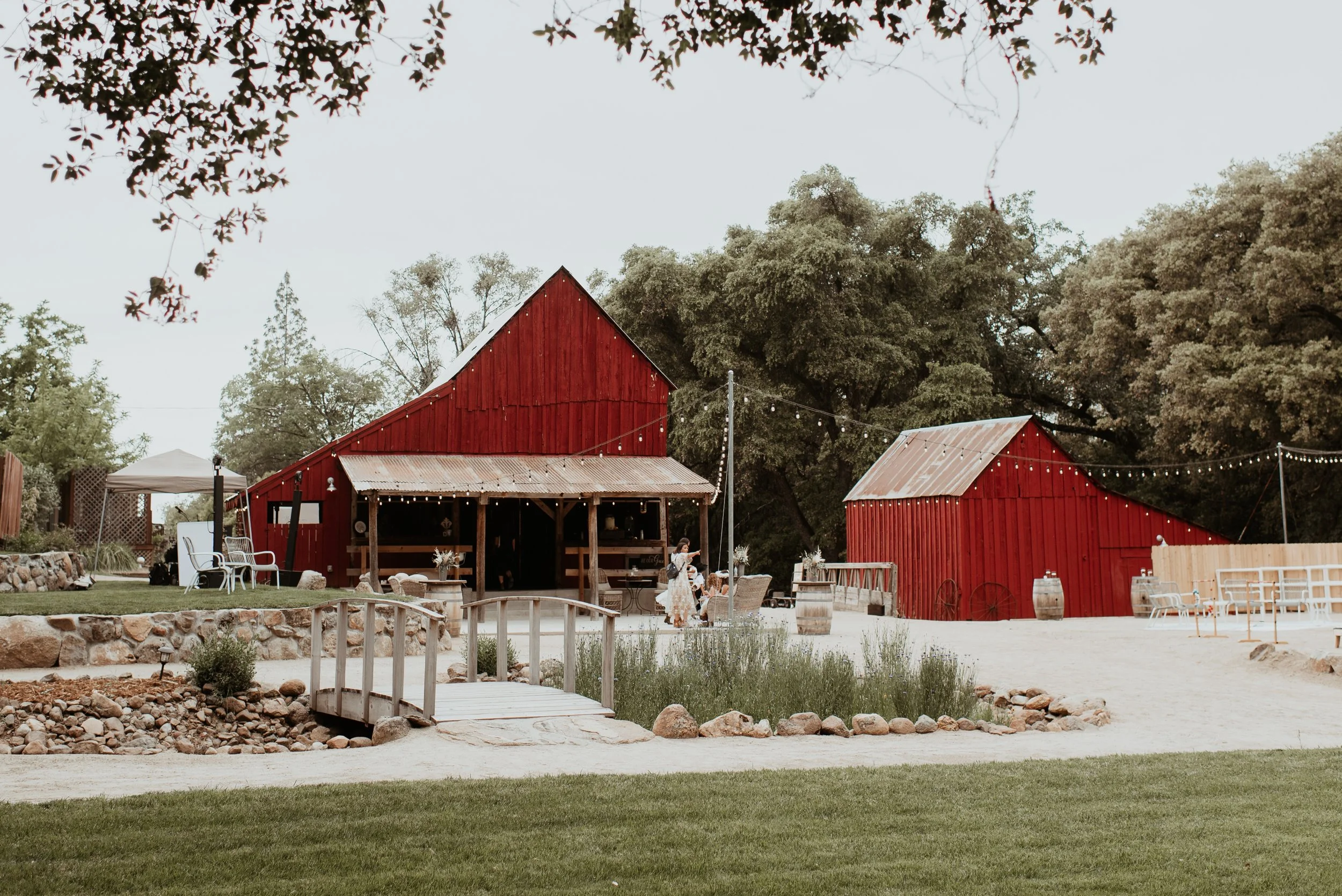 Copy of Ashli+Cole-706.jpg