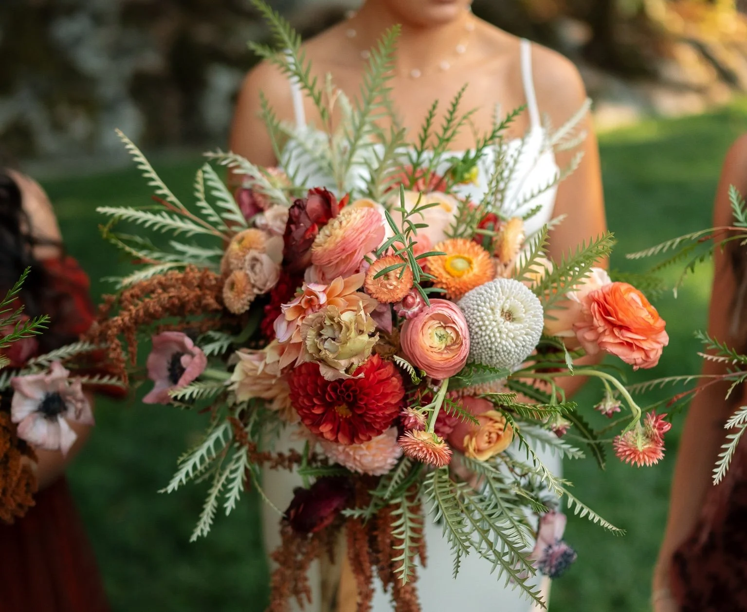 Copy of DSC_5726_websize (1).jpg