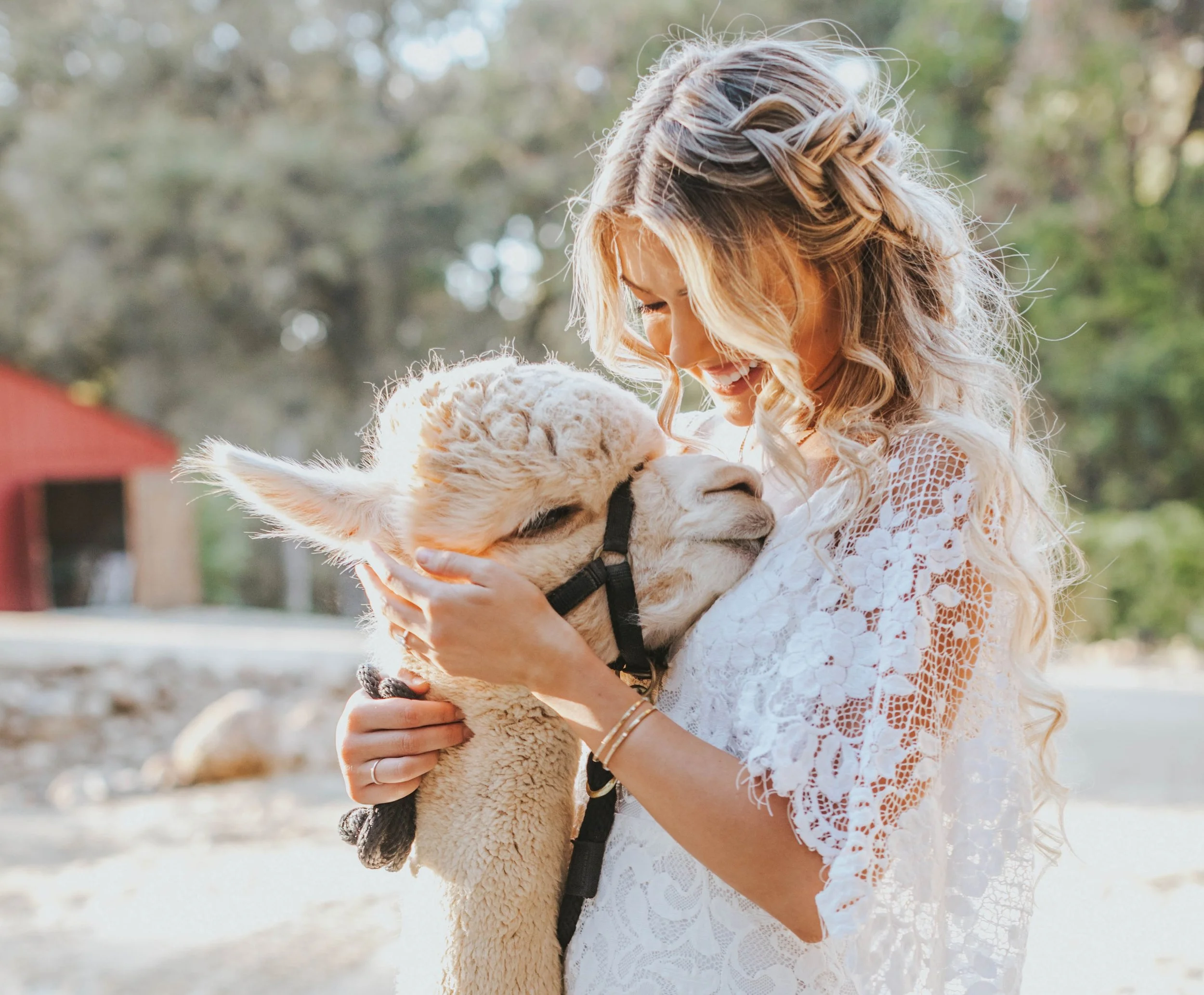 Copy of IMG_0001(40) copy.jpg