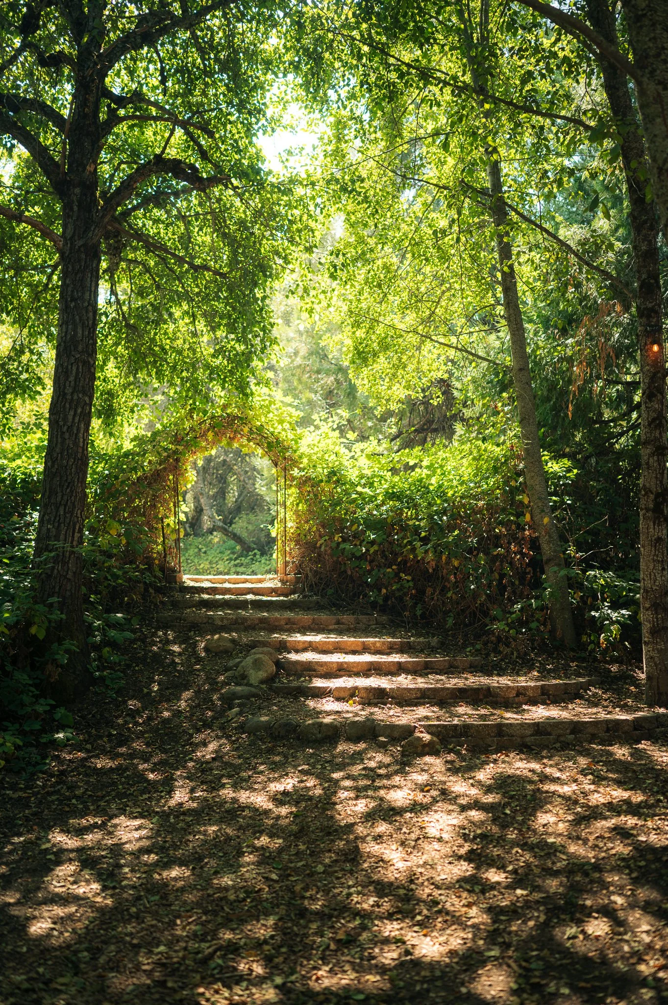 DSC_4813_websize (3).jpg