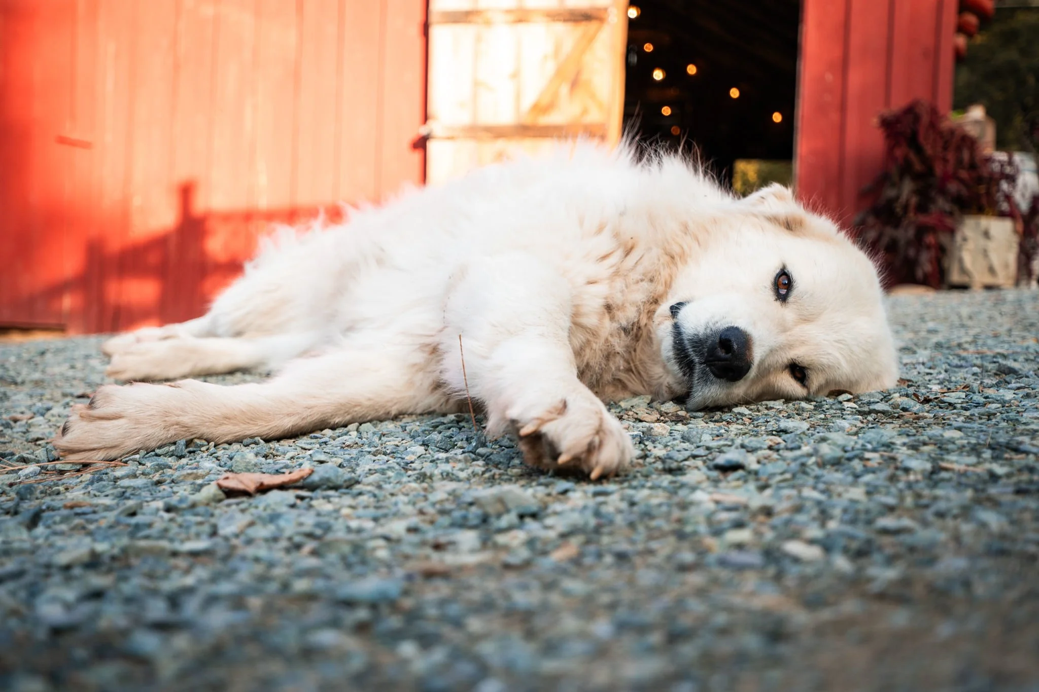 VV-Ranch-at-Stoney-Creek-CP-WEB-231114-056 (1).jpg