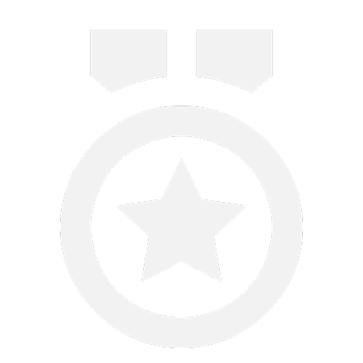 Icon of a medal with a star in the center and a ribbon at the top.