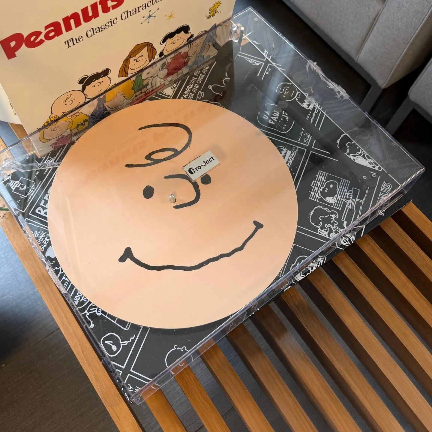 DJ Charlie Brown 🎧❤️ @projectaudiosystems @snoopygrams #snoopy #charliebrown