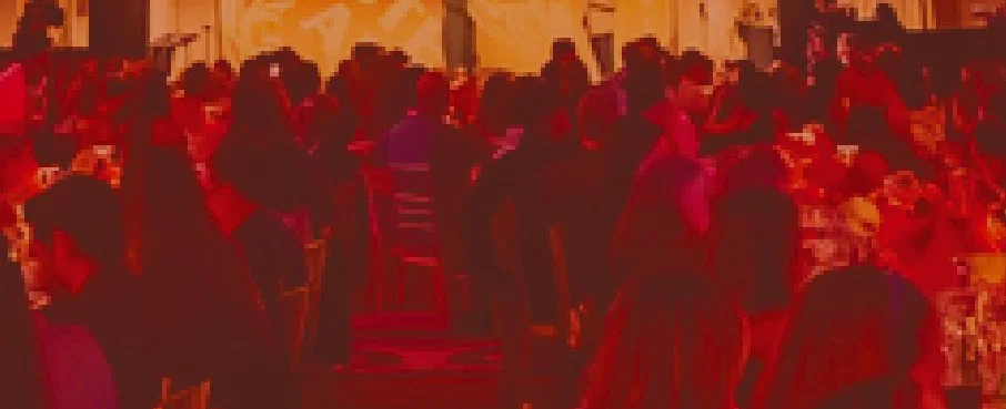   Immersive ENVIRONMENTS installation design by Matt Murphy Design  