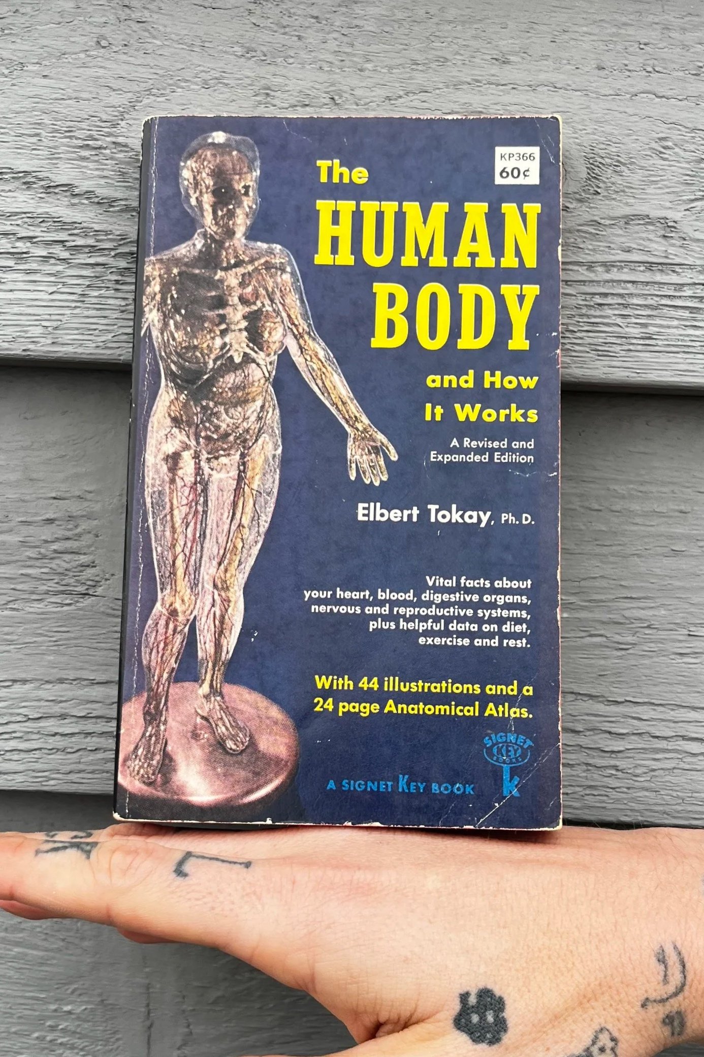“The Human Body and How It Works” by Elbert Tokay, Ph. D.