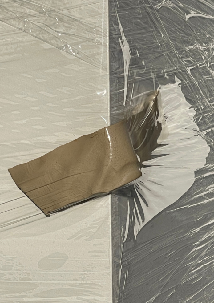 FEEDING THE EGO - A GROUP SHOW CURATED BY HOLLY ROSE MORGAN