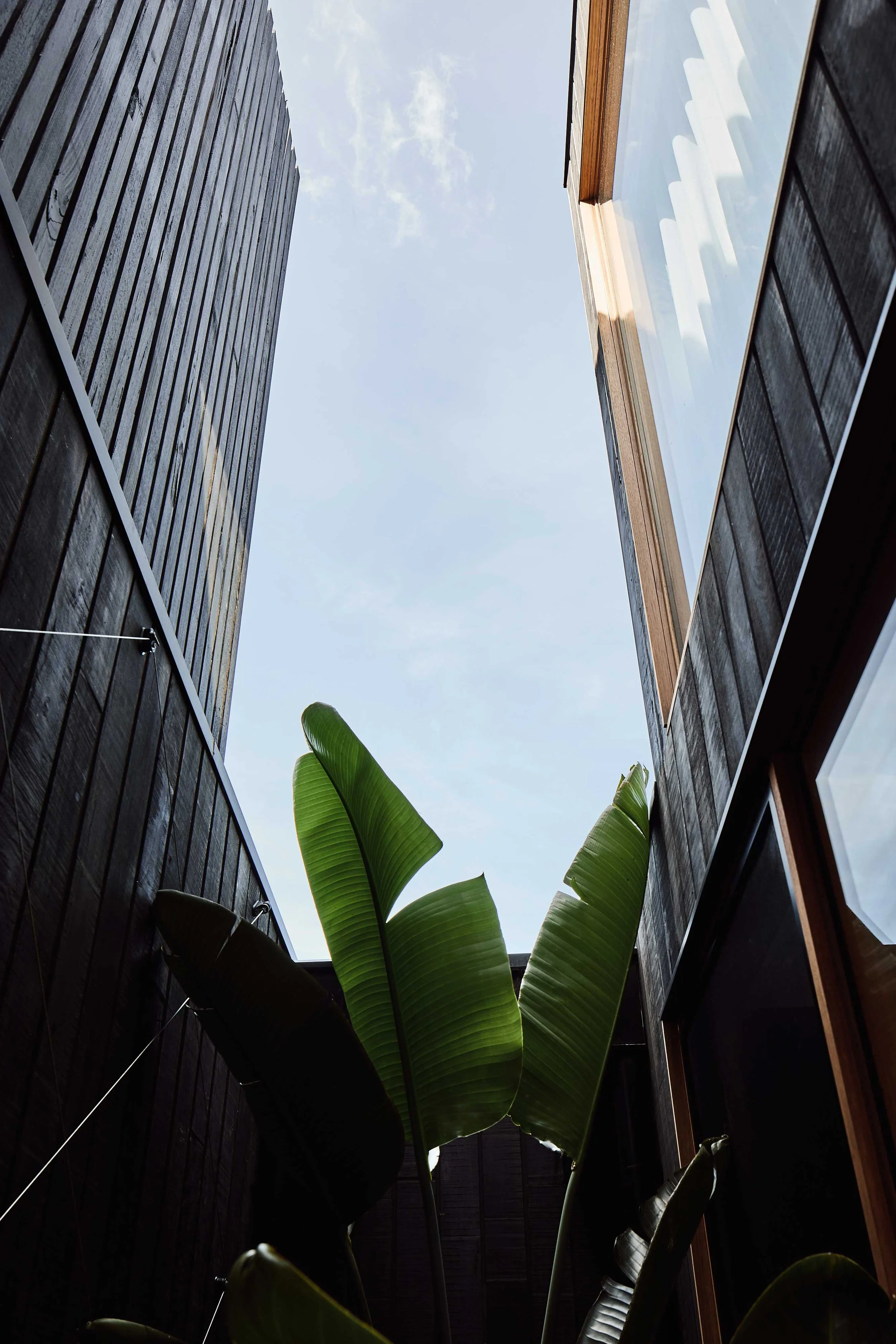 LilySt_0589_architect_newcastle.jpg