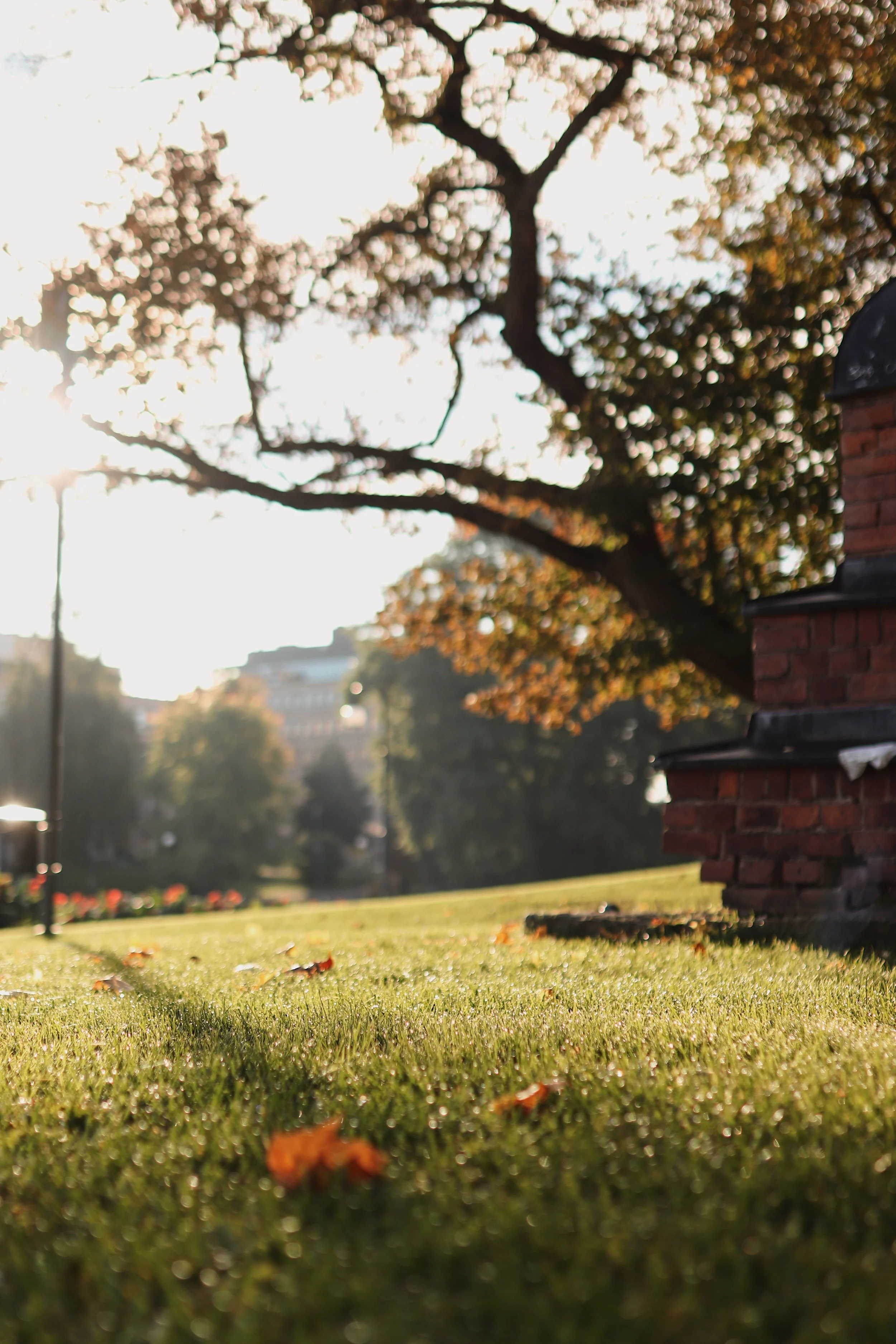 Navigointi kaivosalan ja malminetsinnän velvoitteissa