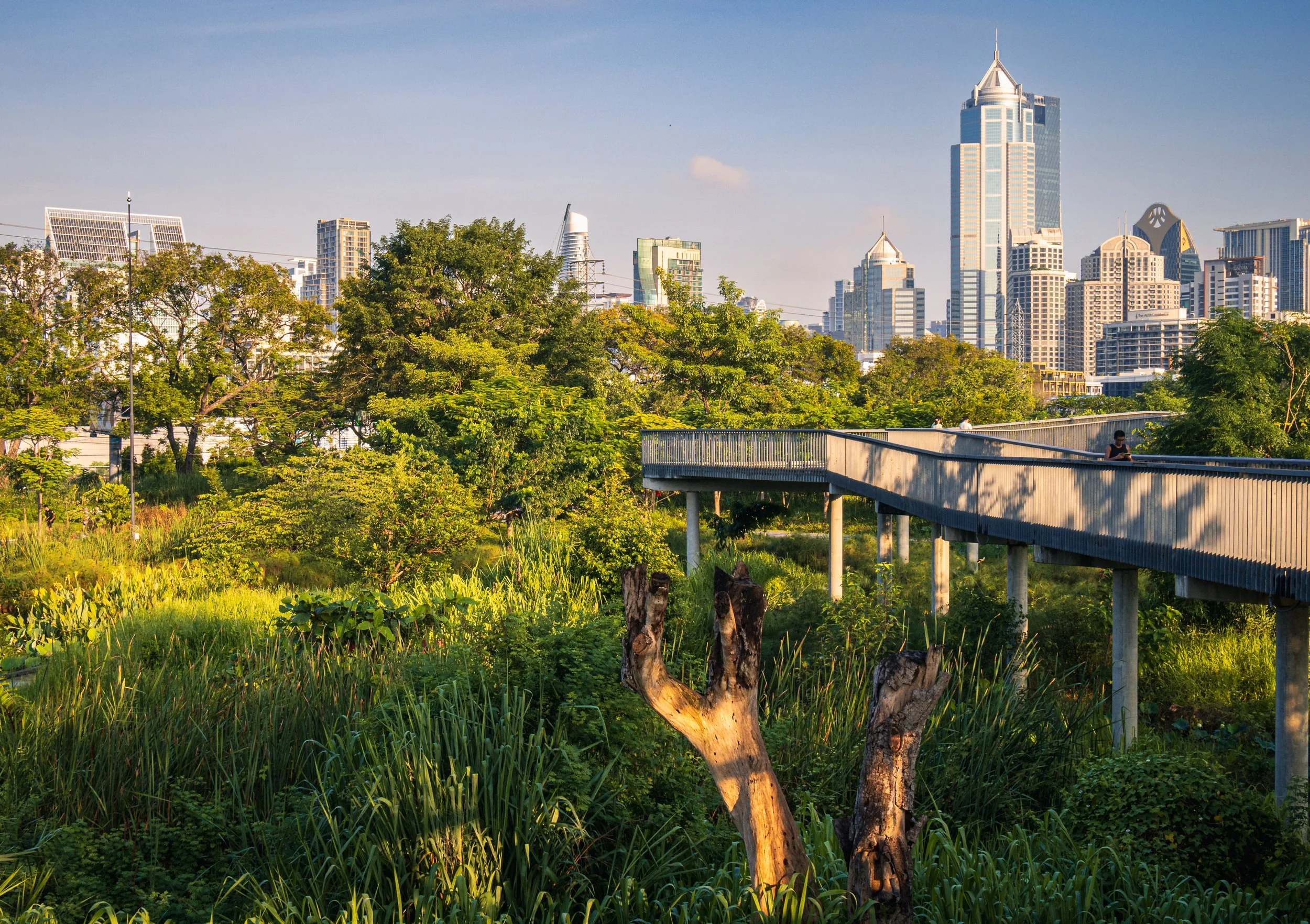 Two Parks, One City: Lumphini and Benjakitti