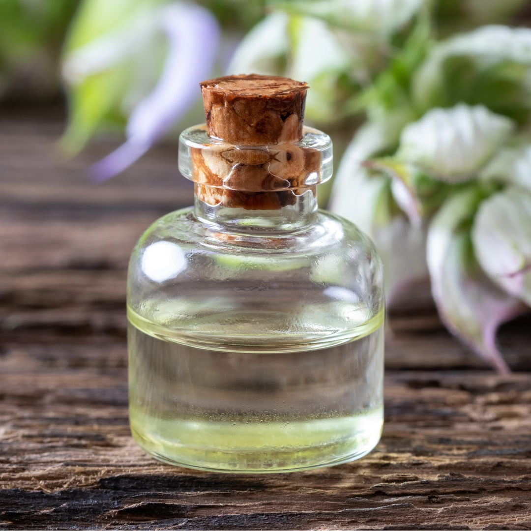 Clinical Botanical Therapy: Parasite Cleanse (30ml)