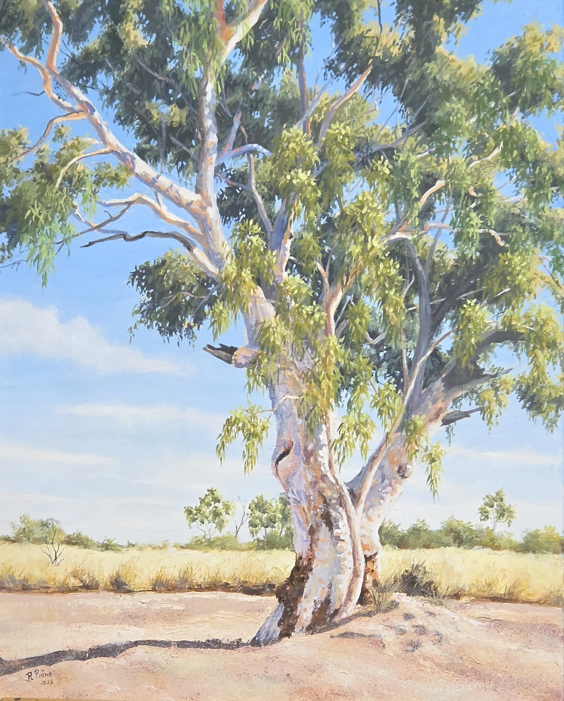 River Queen     Oil on Gallery Canvas 610cm x 770cm    $3800