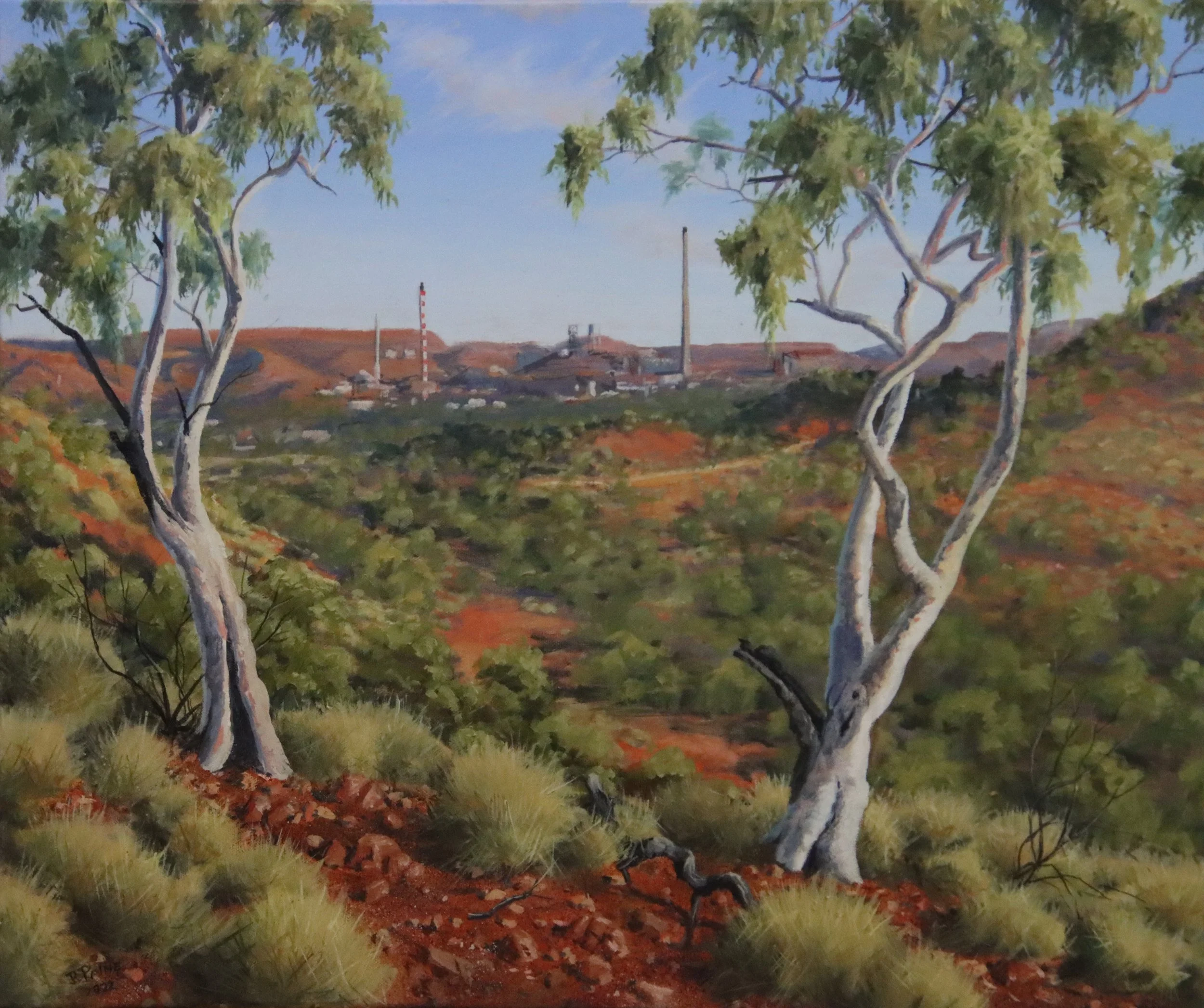 Through the Trees.JPG