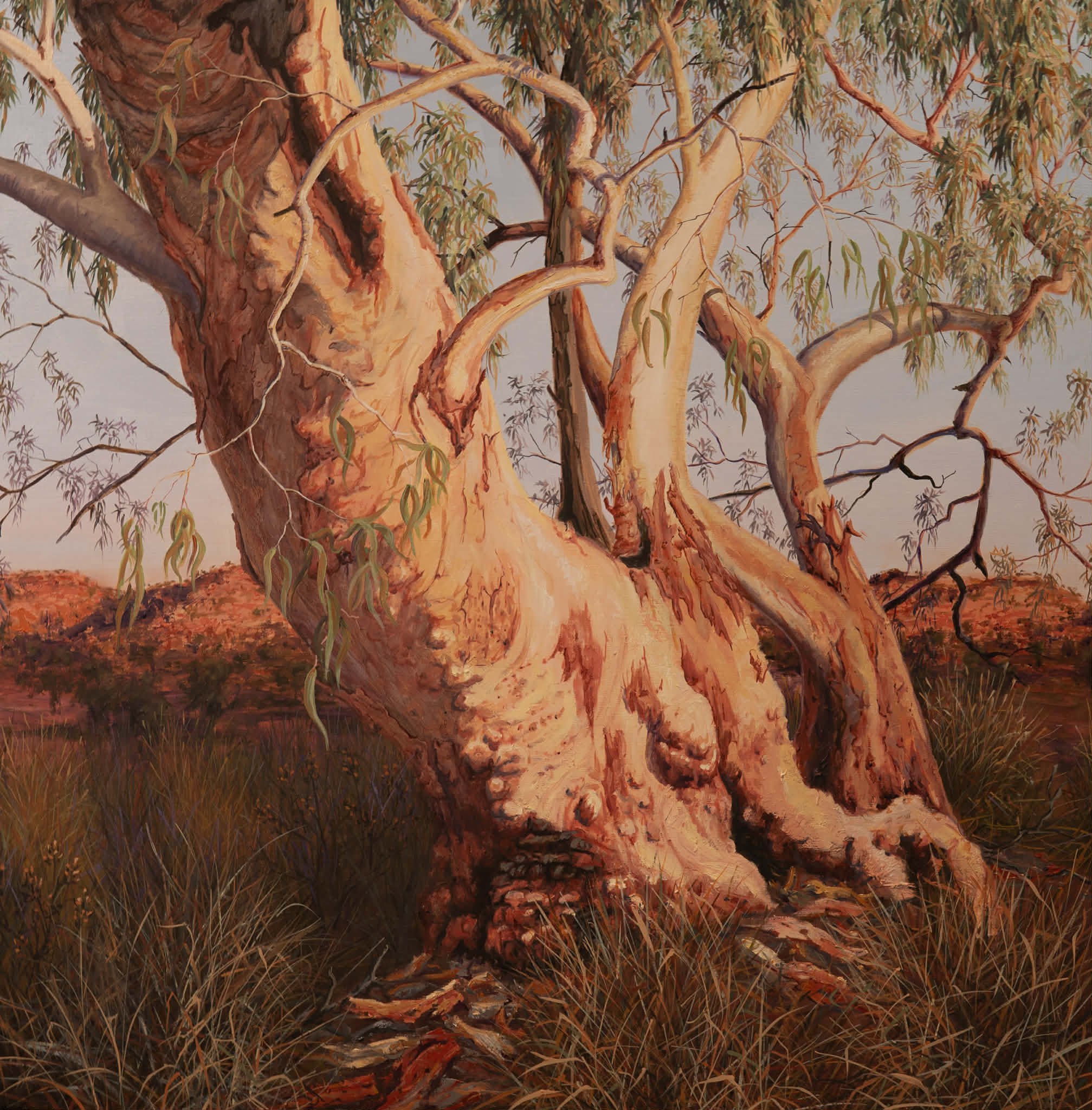 Red River Gum | Original Australian Landscape Painting